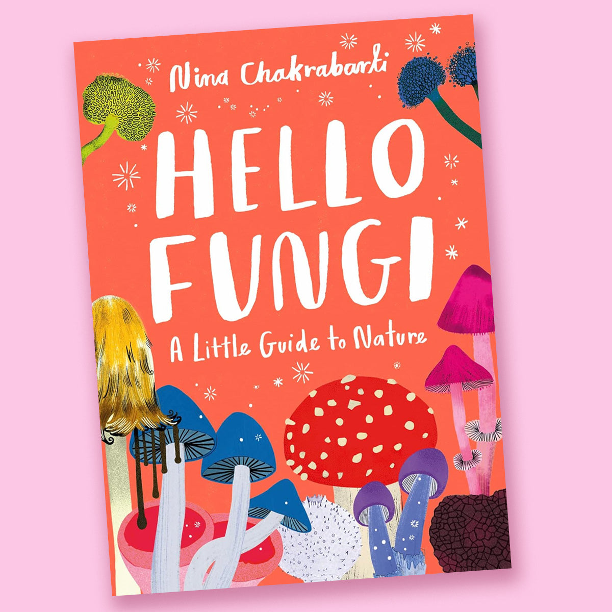 Hello Fungi: A Little Guide to Nature by Nina Chakrabarti