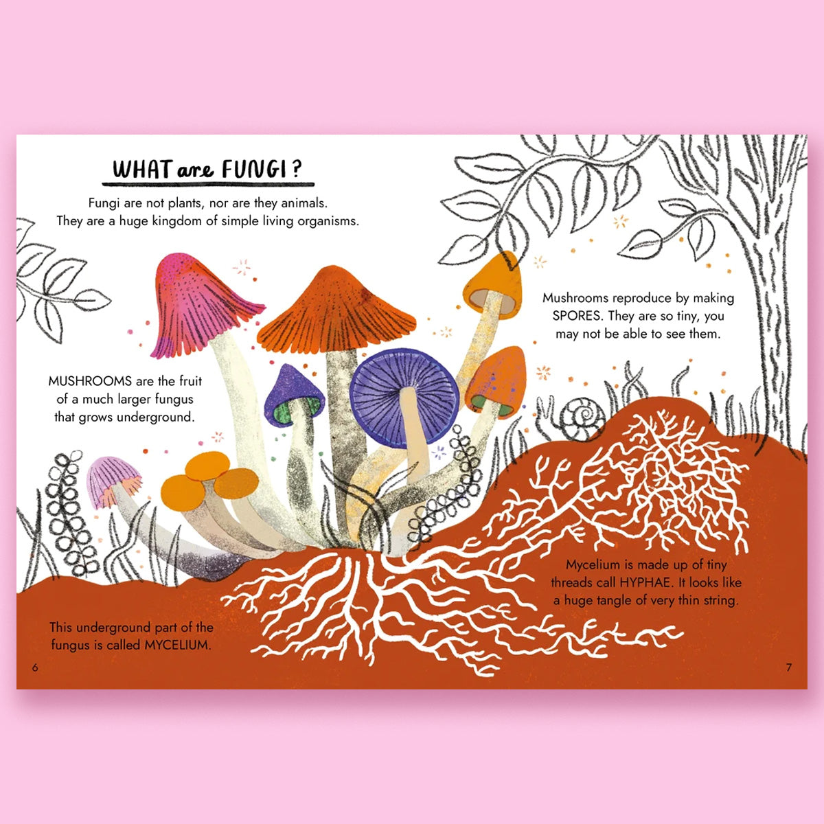 Hello Fungi: A Little Guide to Nature by Nina Chakrabarti
