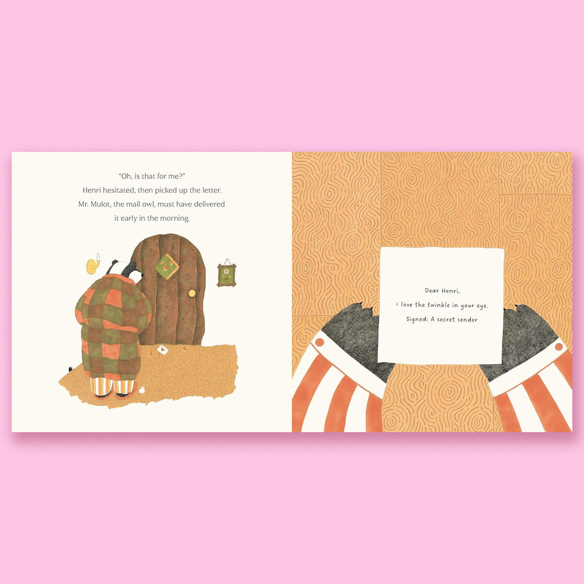 Henri and the Secret Letters by Fanny Ducassé and David Warriner
