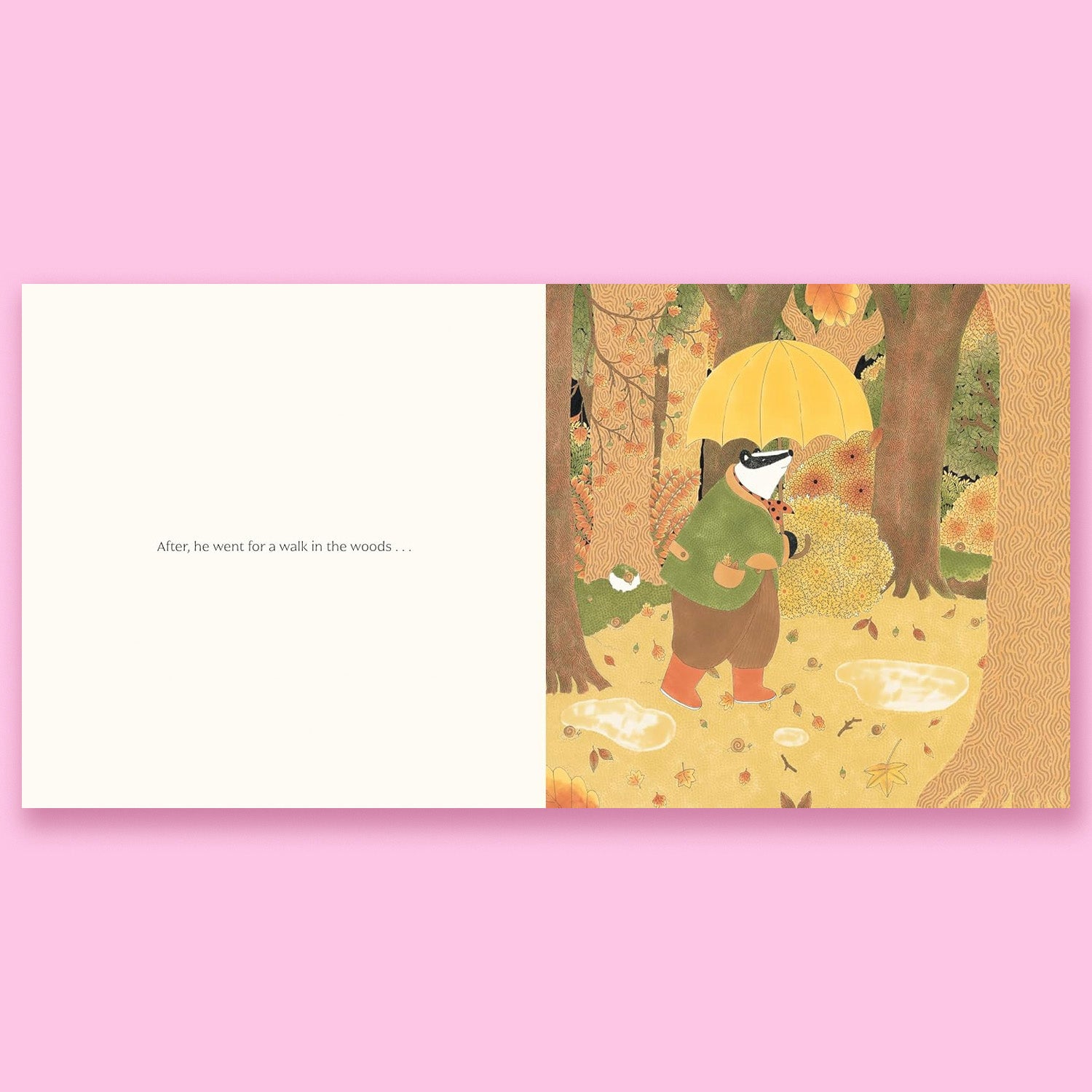Henri and the Secret Letters by Fanny Ducassé and David Warriner