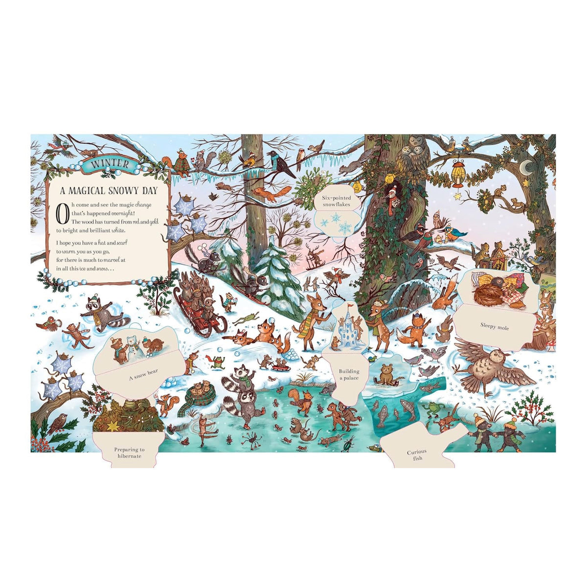 Here We Go Round the Woodland Year: Over 60 Flaps by Rachel Piercey and Freya Hartas