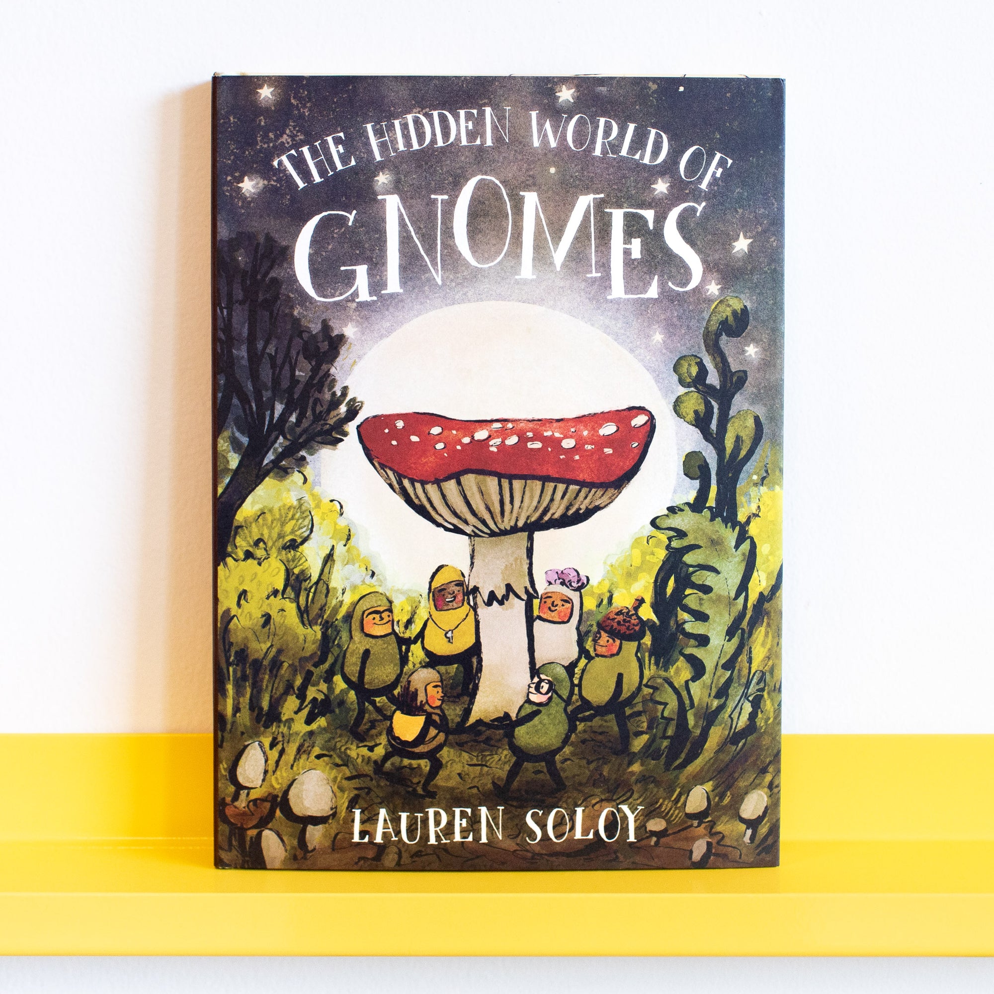 The Hidden World of Gnomes by Lauren Soloy