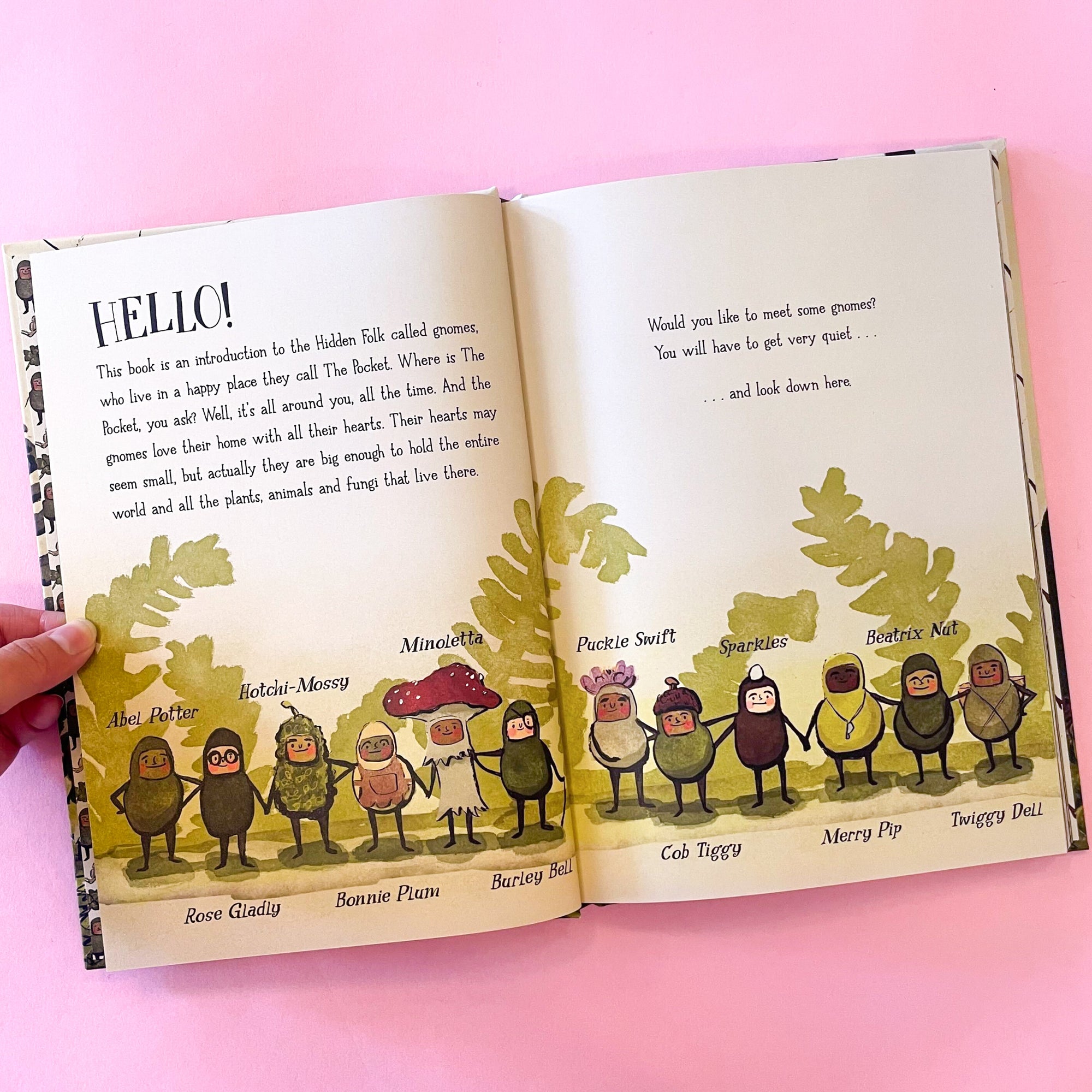 The Hidden World of Gnomes by Lauren Soloy