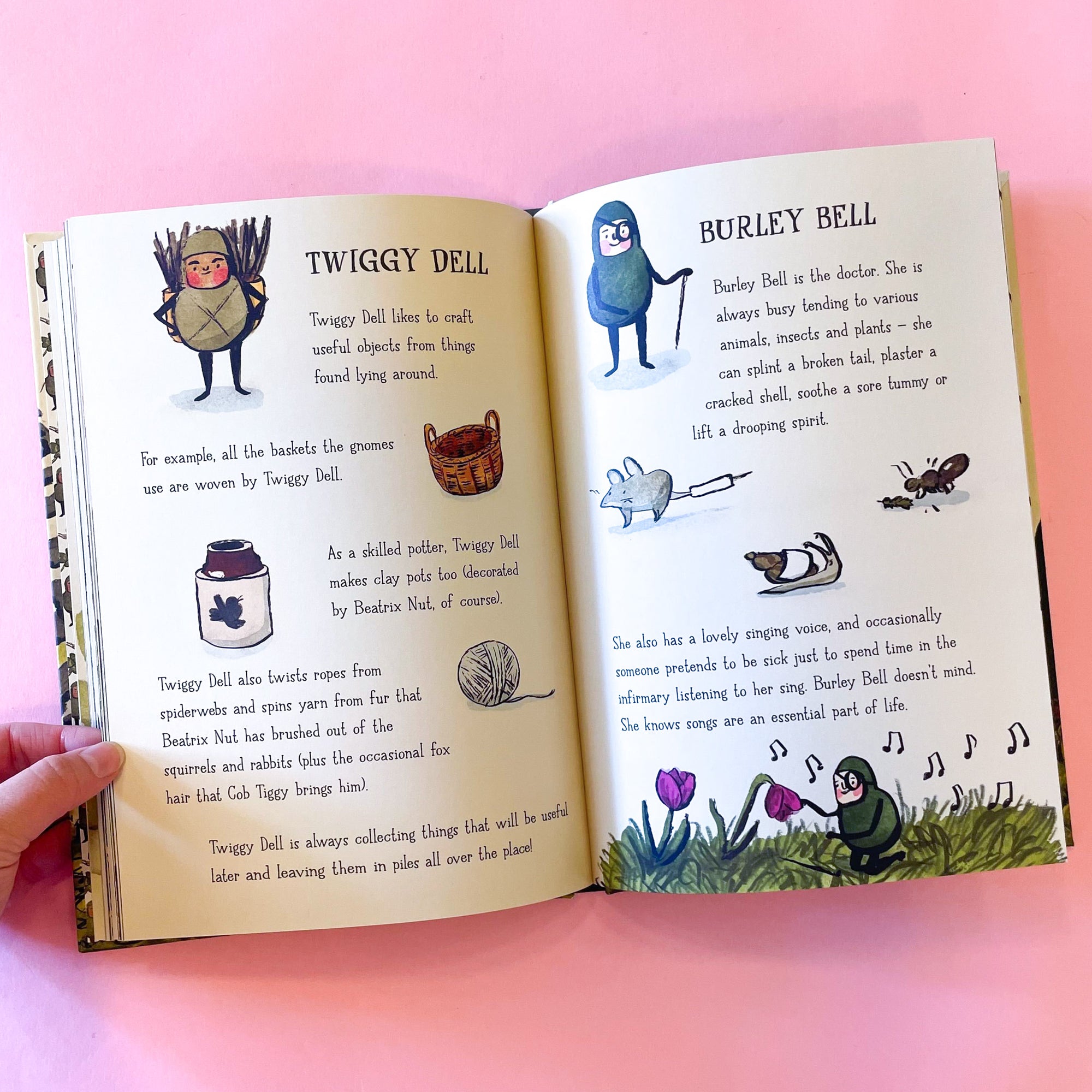 The Hidden World of Gnomes by Lauren Soloy