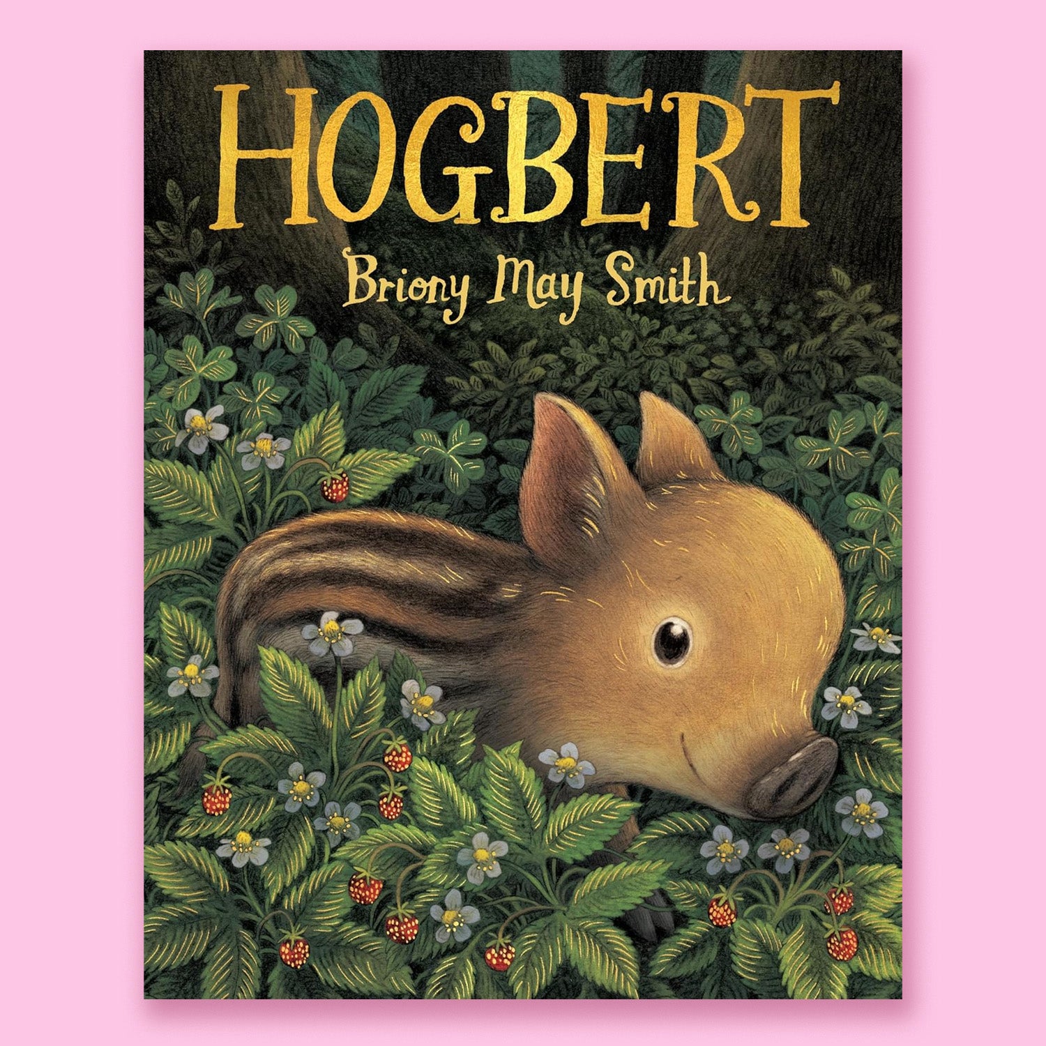 Hogbert by Briony May Smith