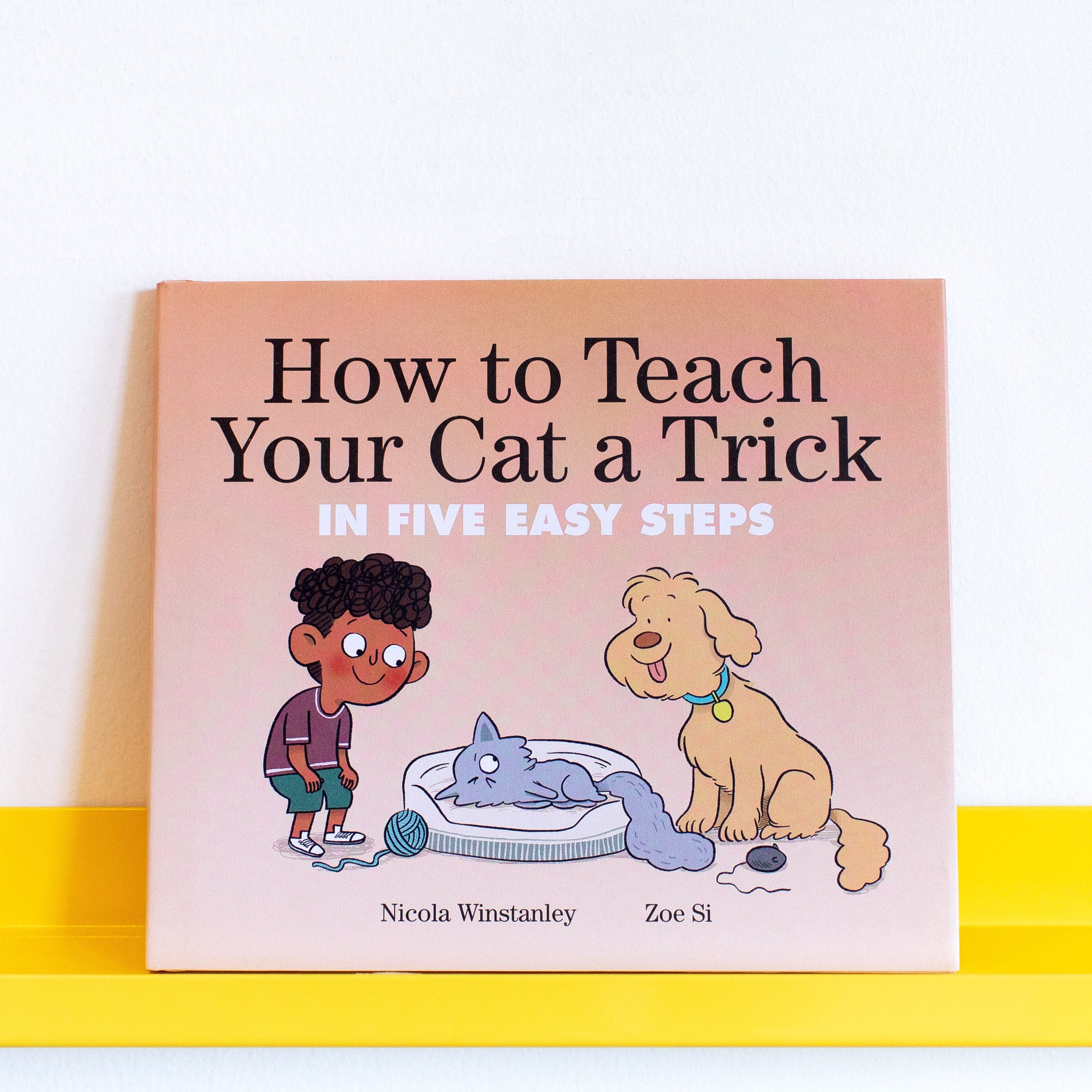 Book cover for How to Teach Your Cat a Trick