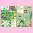 In the Forest: My Nature Sticker Activity Book by Olivia Cosneau