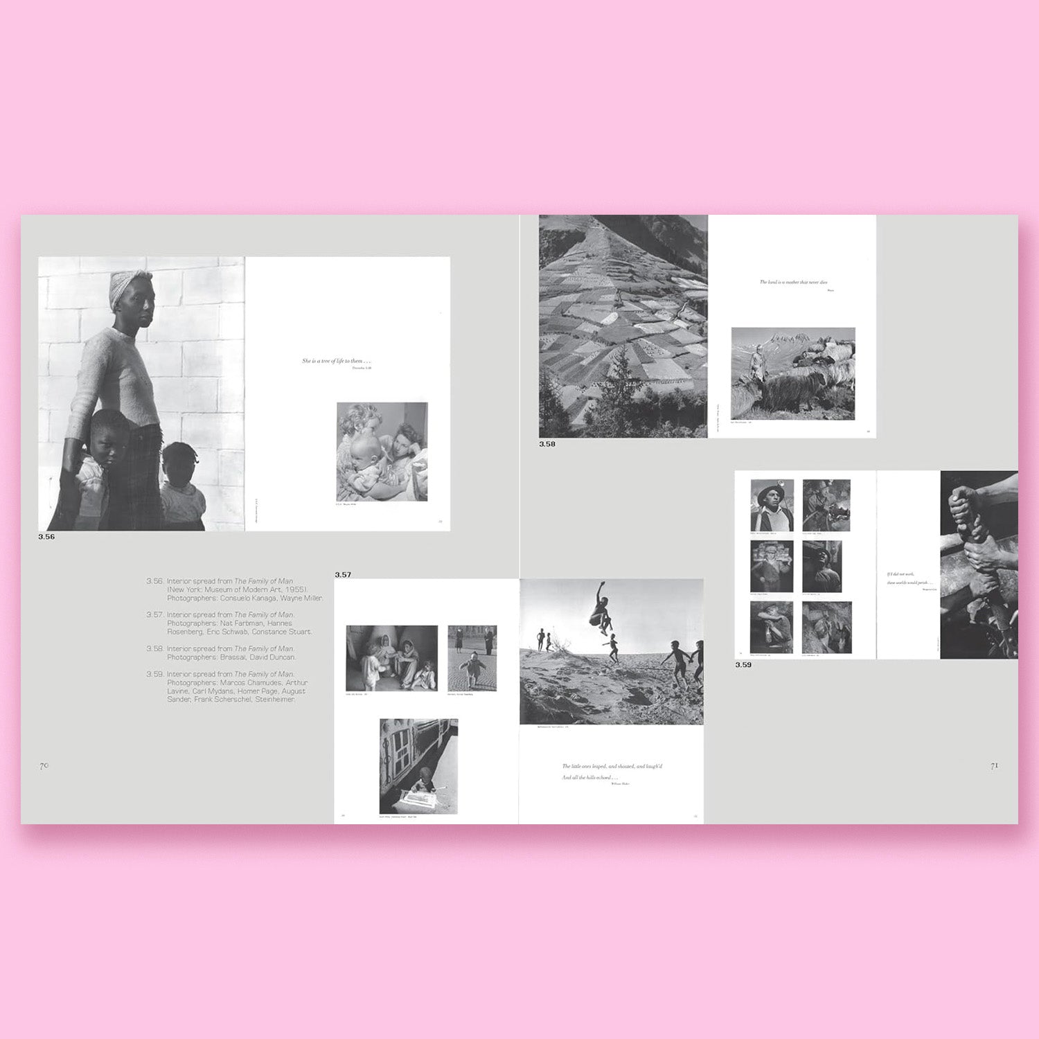 Leo Lionni: Storyteller, Artist, Designer