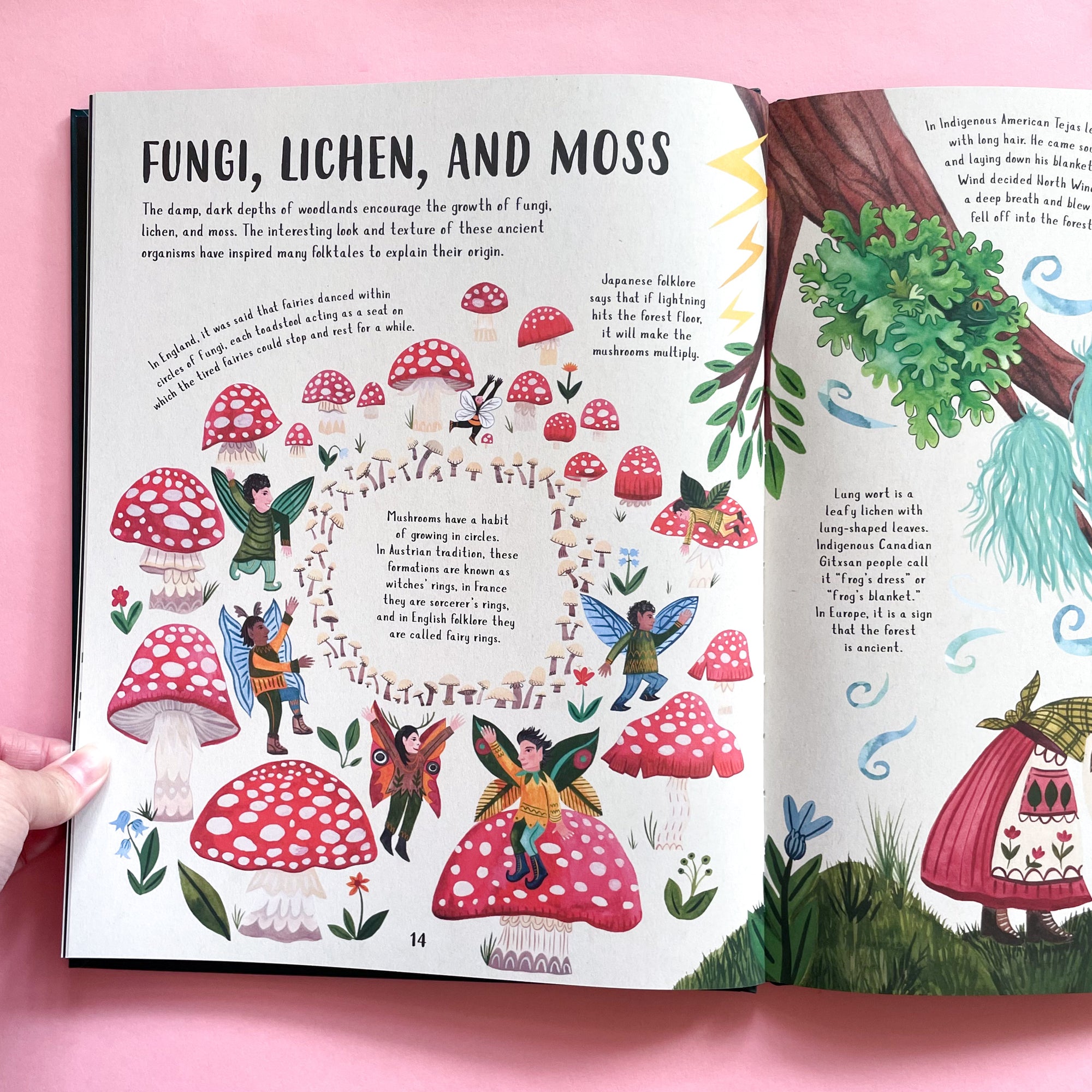 The Lore of the Land: Folklore & Wisdom from the Wild Earth by Claire Cock-Starkey and Samantha Dolan