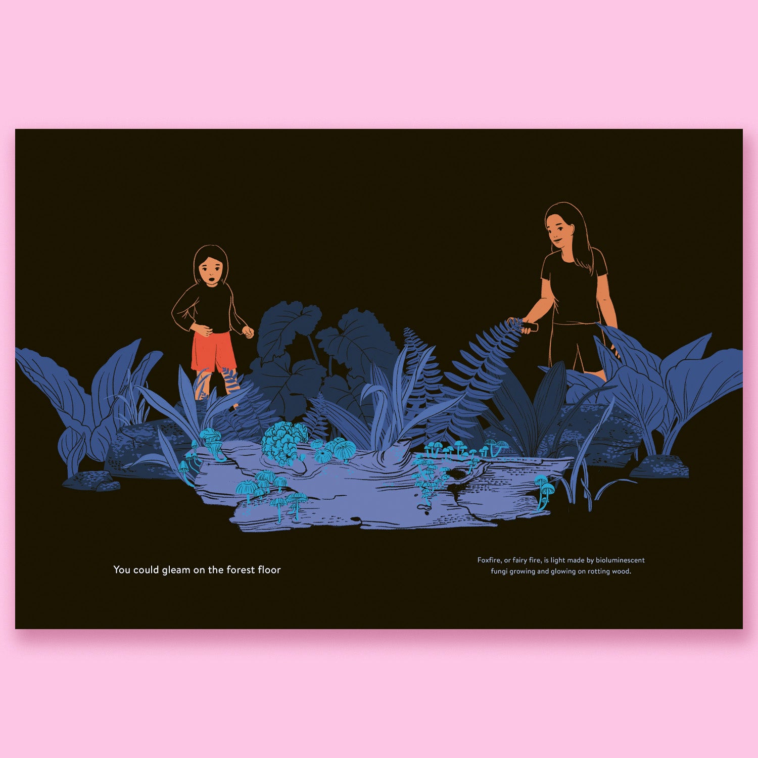 Luminous: Living Things That Light Up the Night by Julia Kuo
