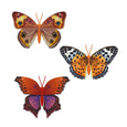 Monarch Exotic Butterflies with clip