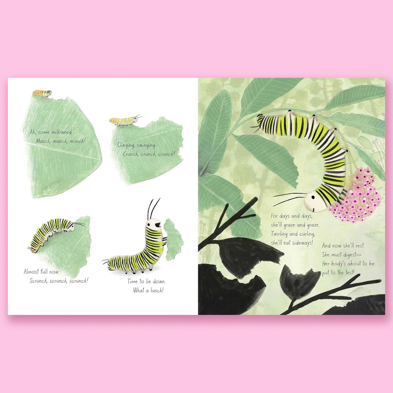 The Monarch by Kirsten Hall and Isabelle Arsenault