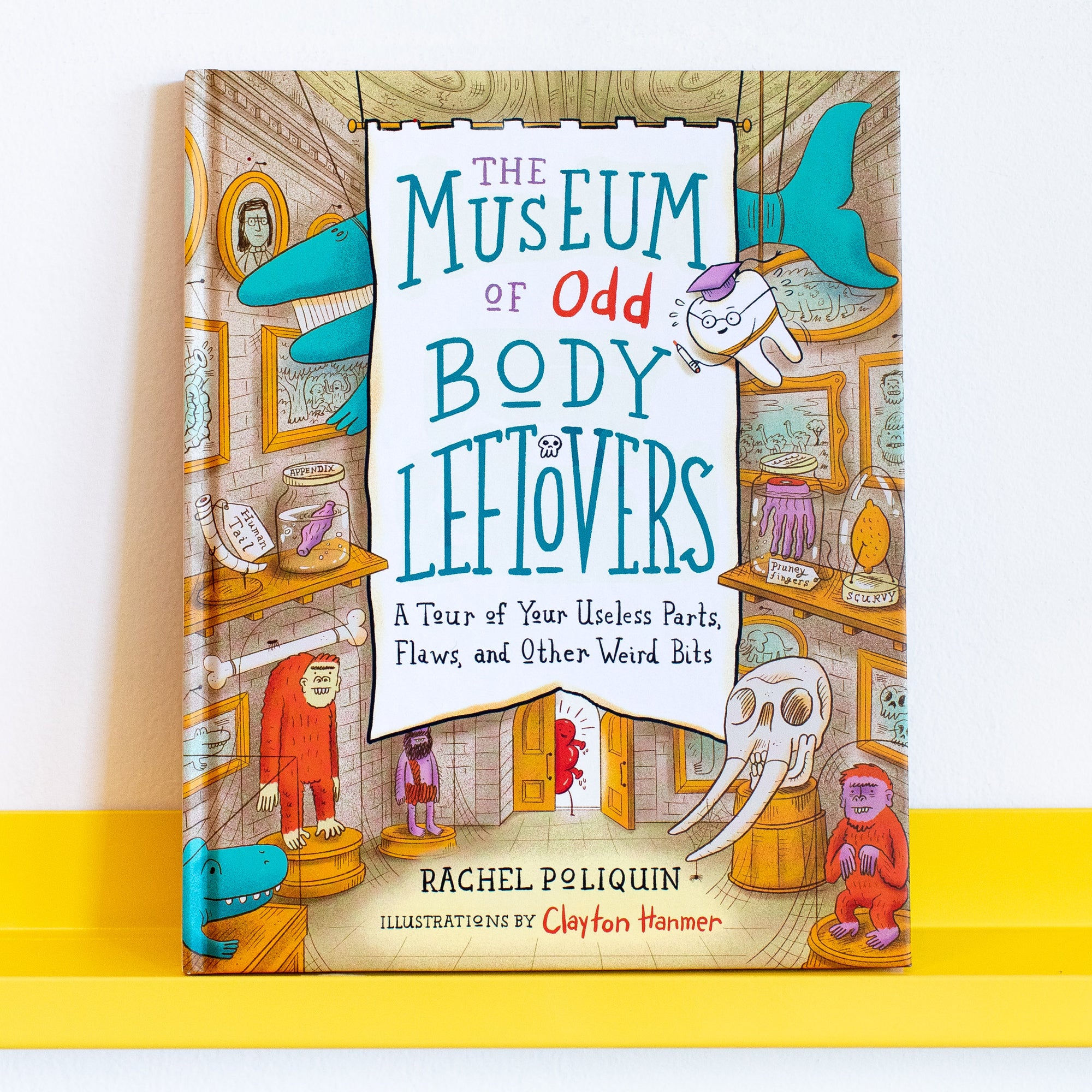 Book cover for The Museum of Odd Body Leftovers