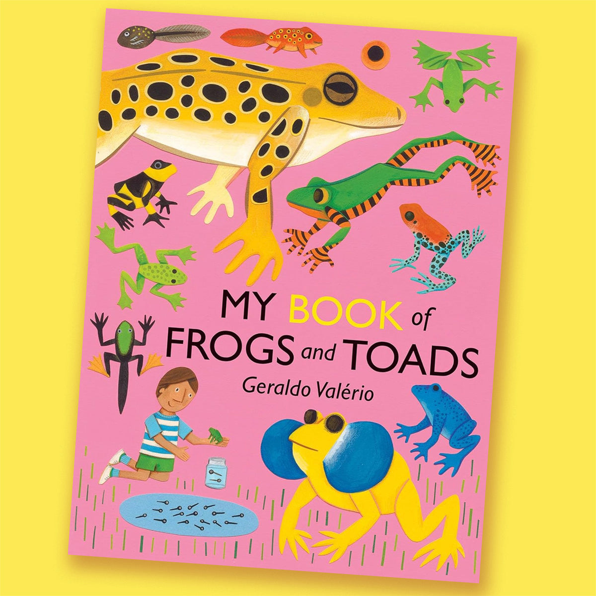 My Book of Frogs and Toads by Geraldo Valério