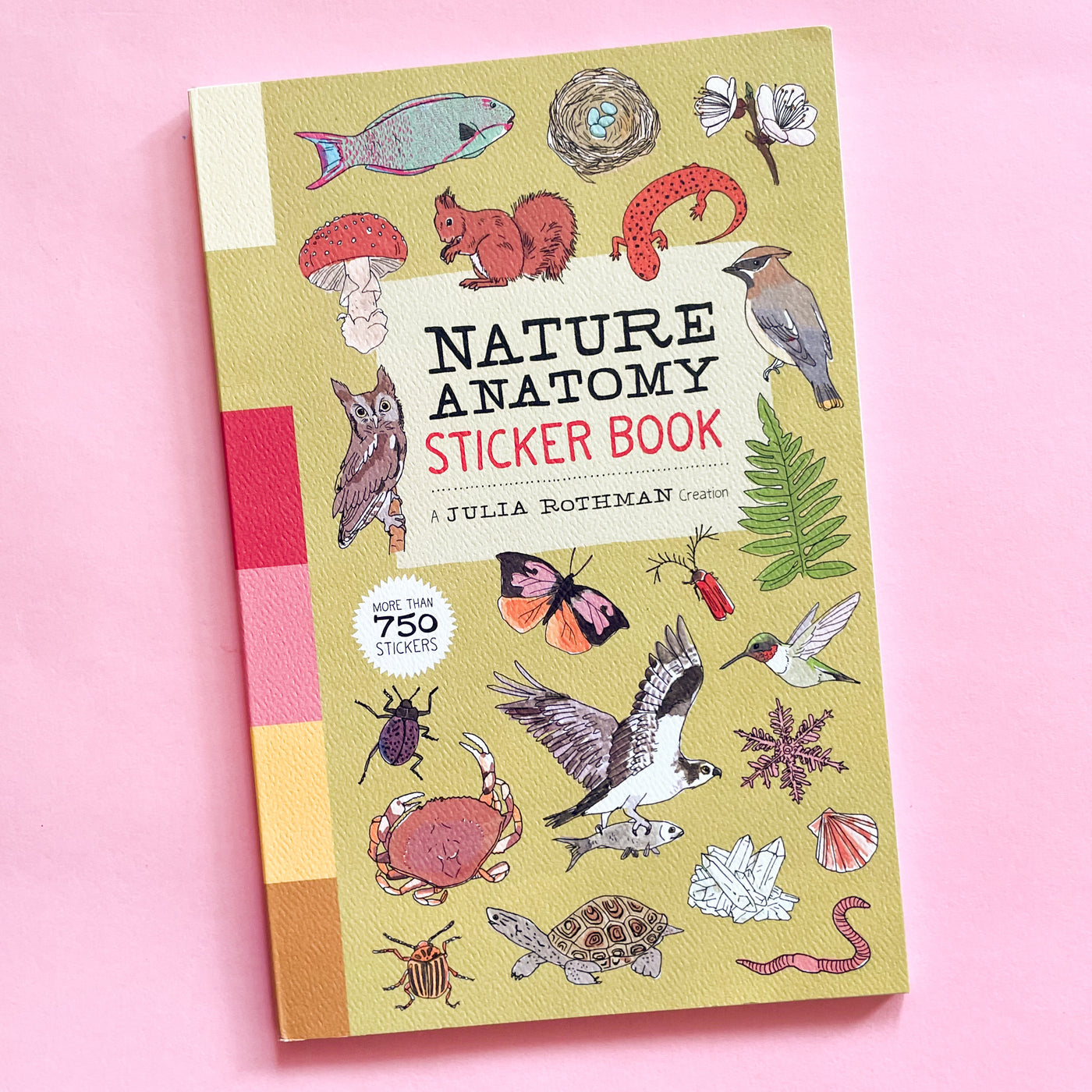 Nature Anatomy Sticker Book: A Julia Rothman Creation; More than 750 Stickers by Julia Rothman