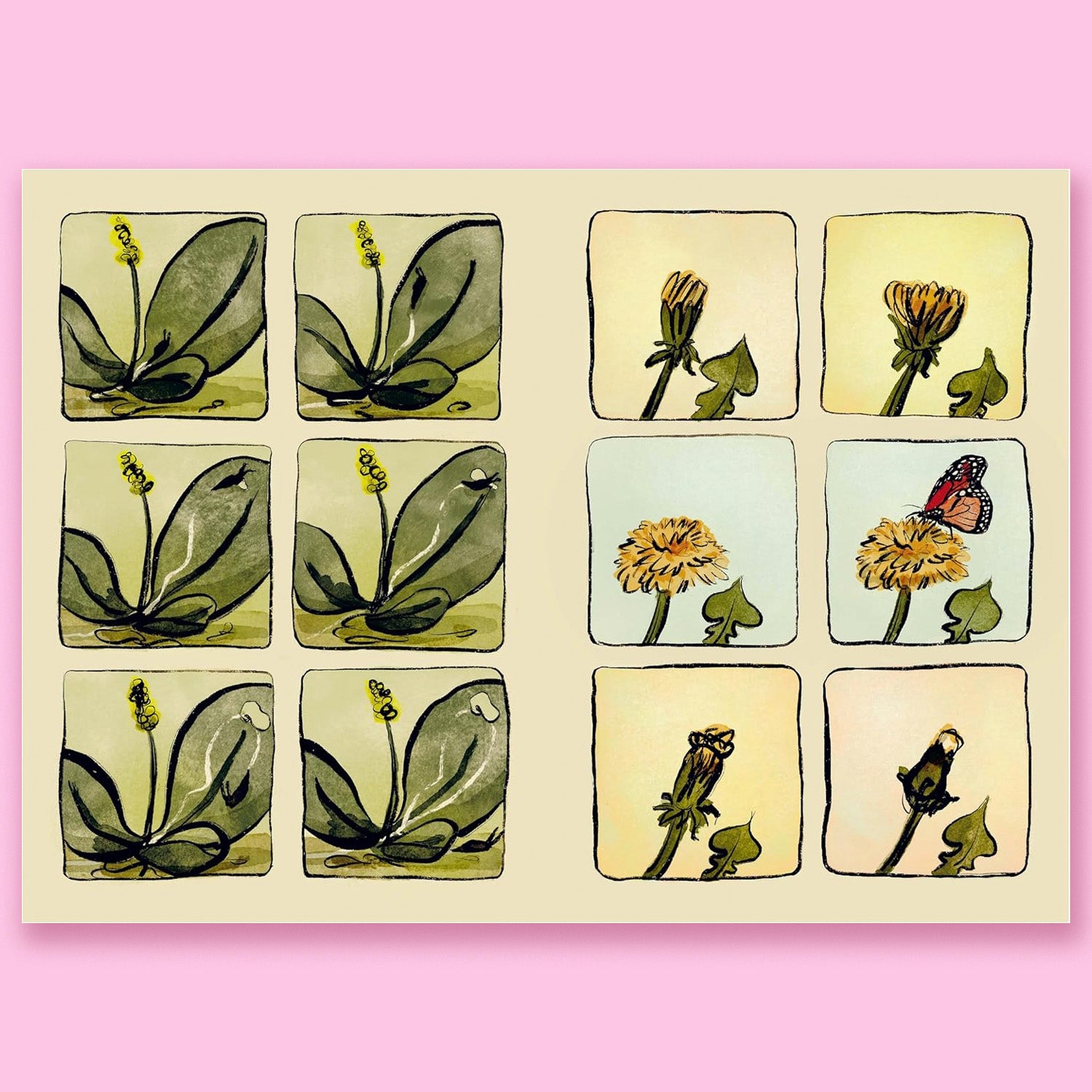 The Newest Gnome by Lauren Soloy