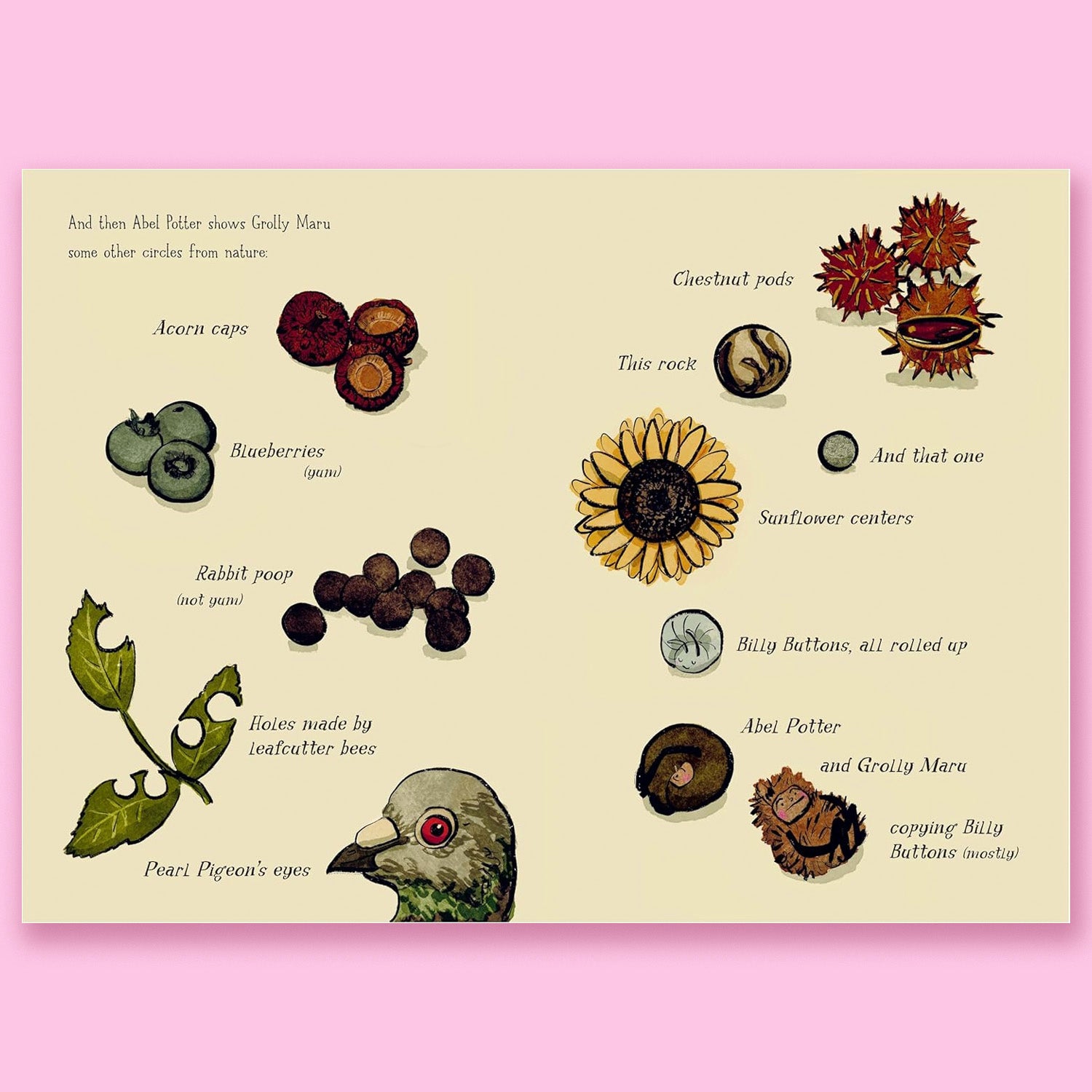 The Newest Gnome by Lauren Soloy