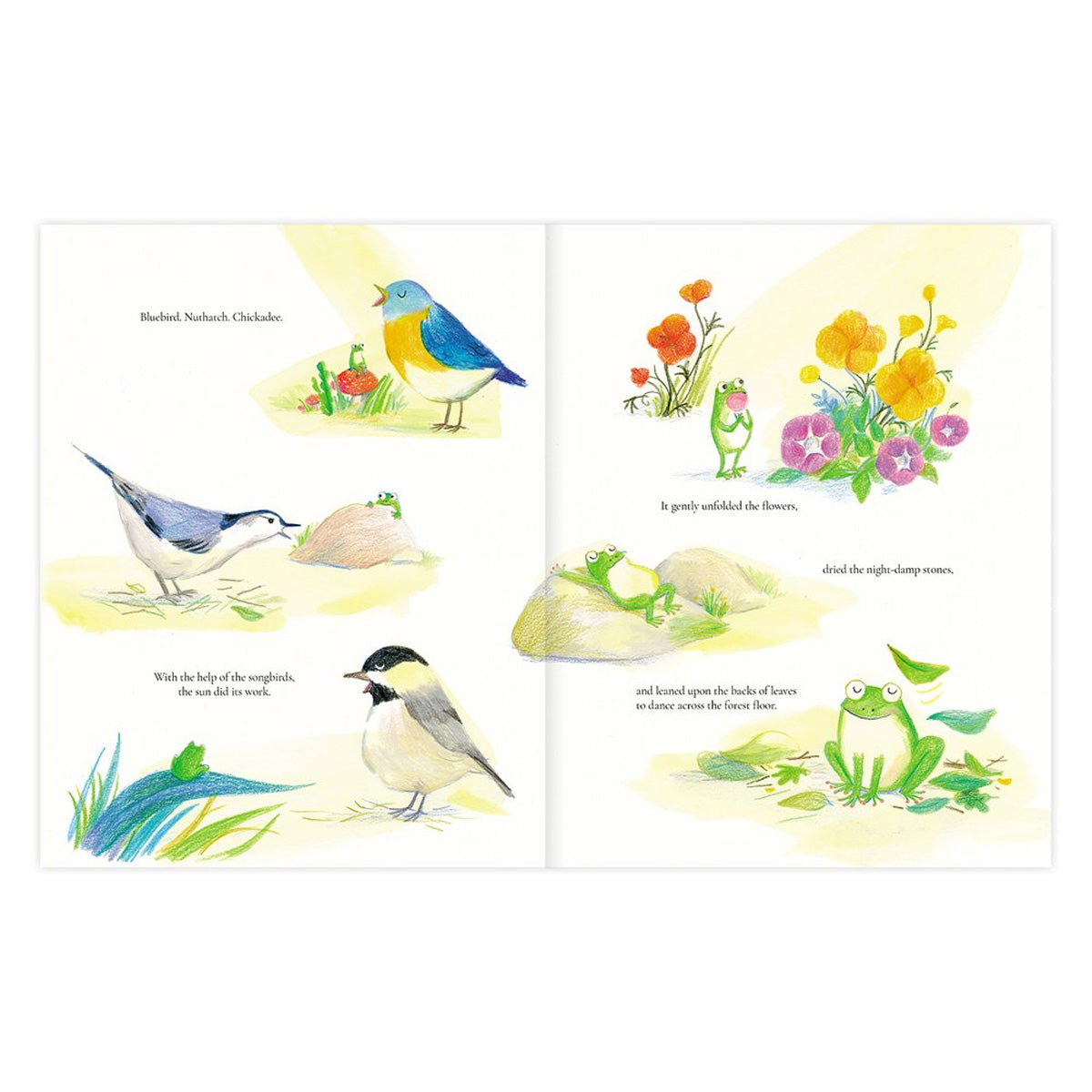 Night Song by Mk Smith Despres and Hyewon Yum