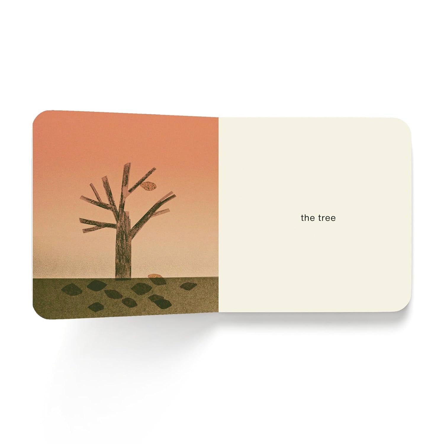 Now I See Fall by Mac Barnett and Jon Klassen