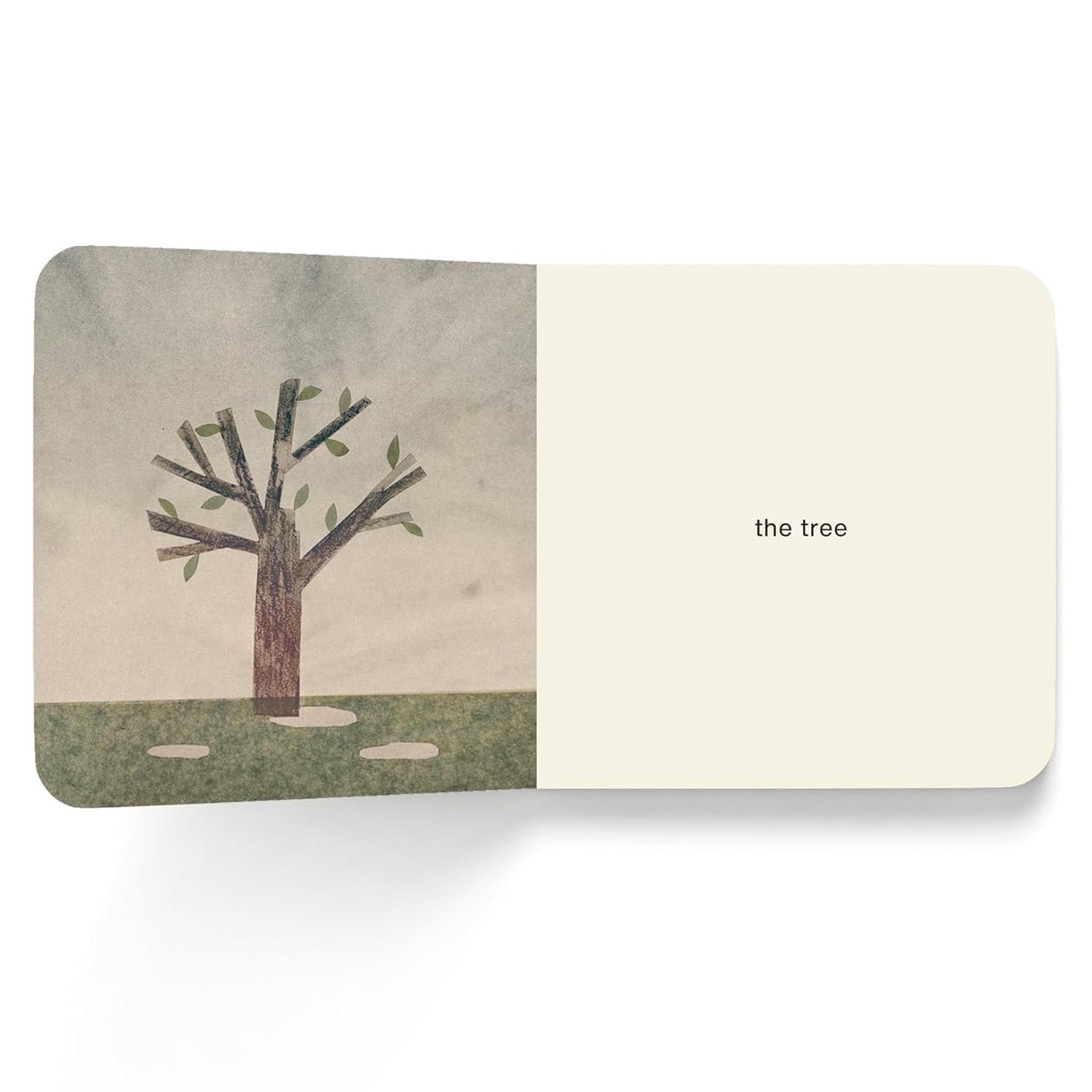 Now I See Spring by Mac Barnett and Jon Klassen