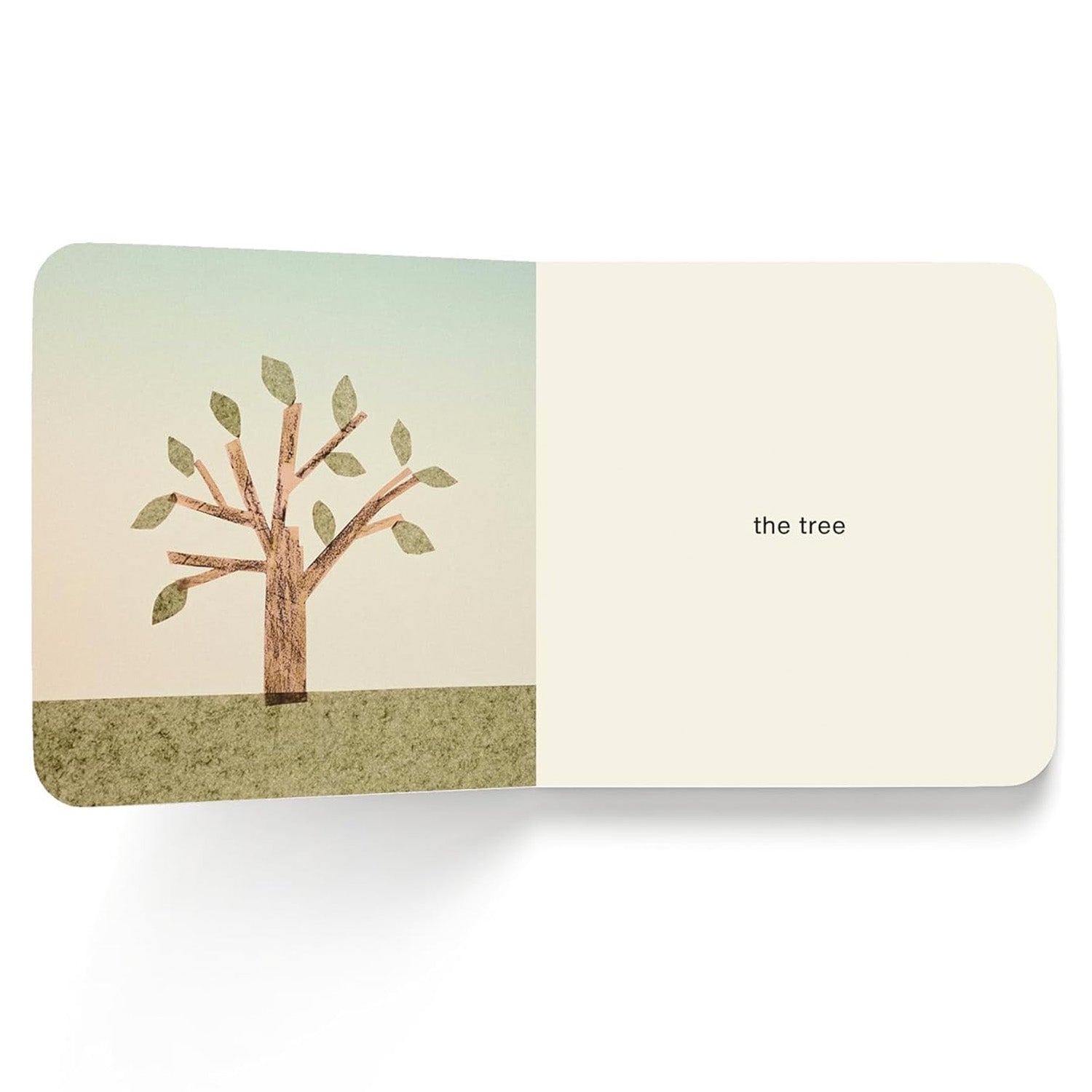 Now I See Summer by Mac Barnett and Jon Klassen