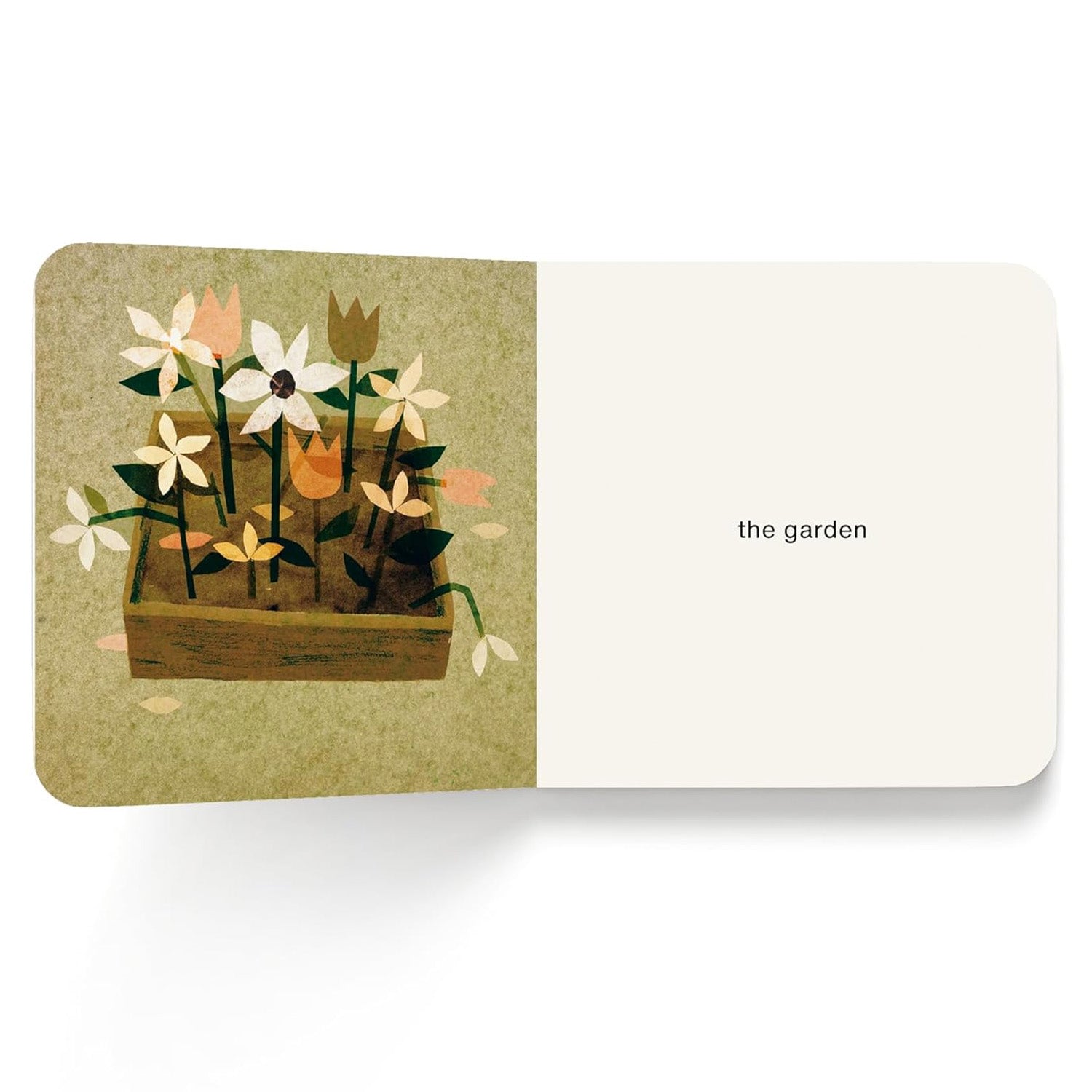 Now I See Summer by Mac Barnett and Jon Klassen