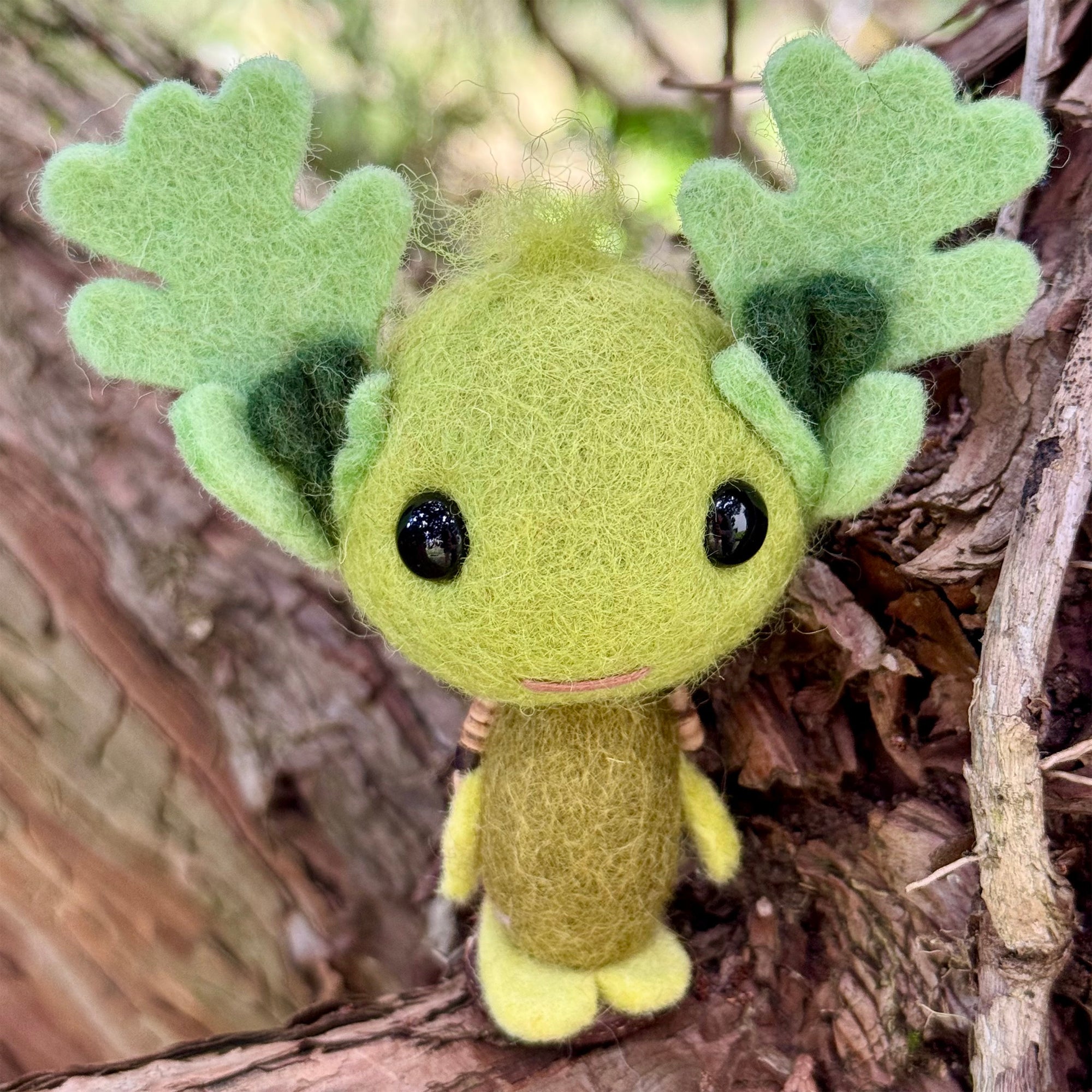 Oak Big Greenie