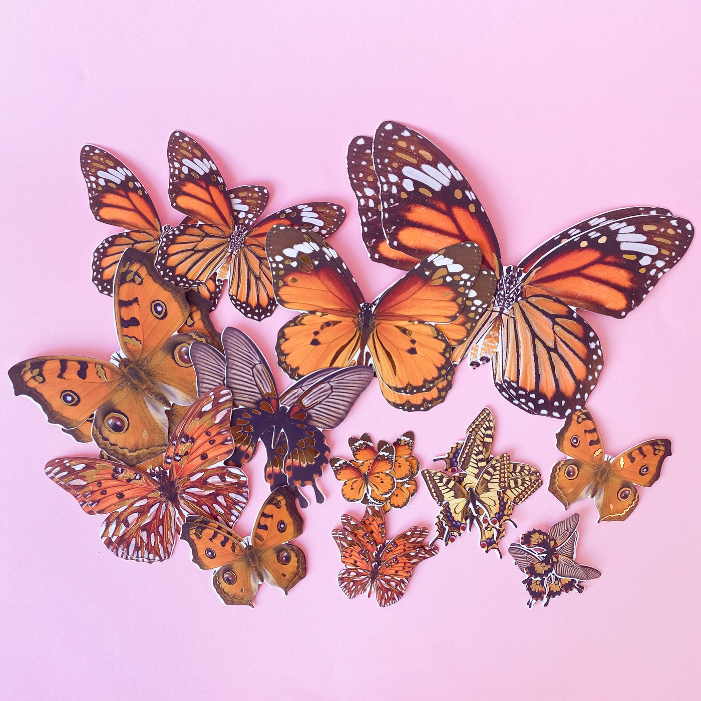 Paper Butterflies – Orange
