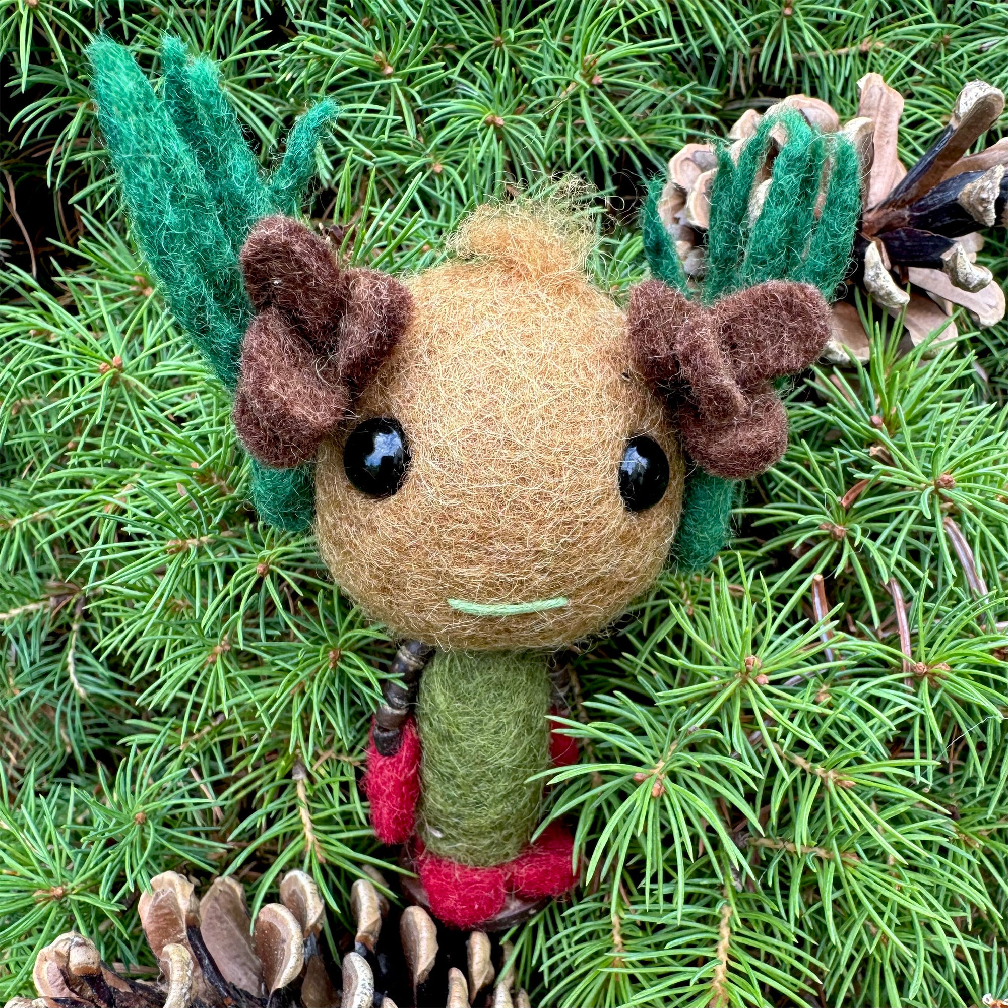 Pine Big Greenie