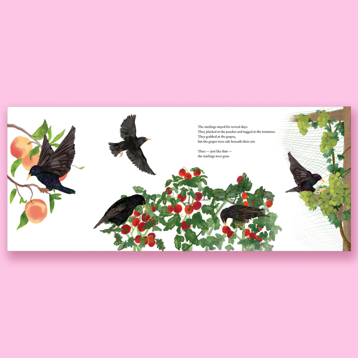 The Pony and the Starling by Jennifer McGrath and Kristina Jones