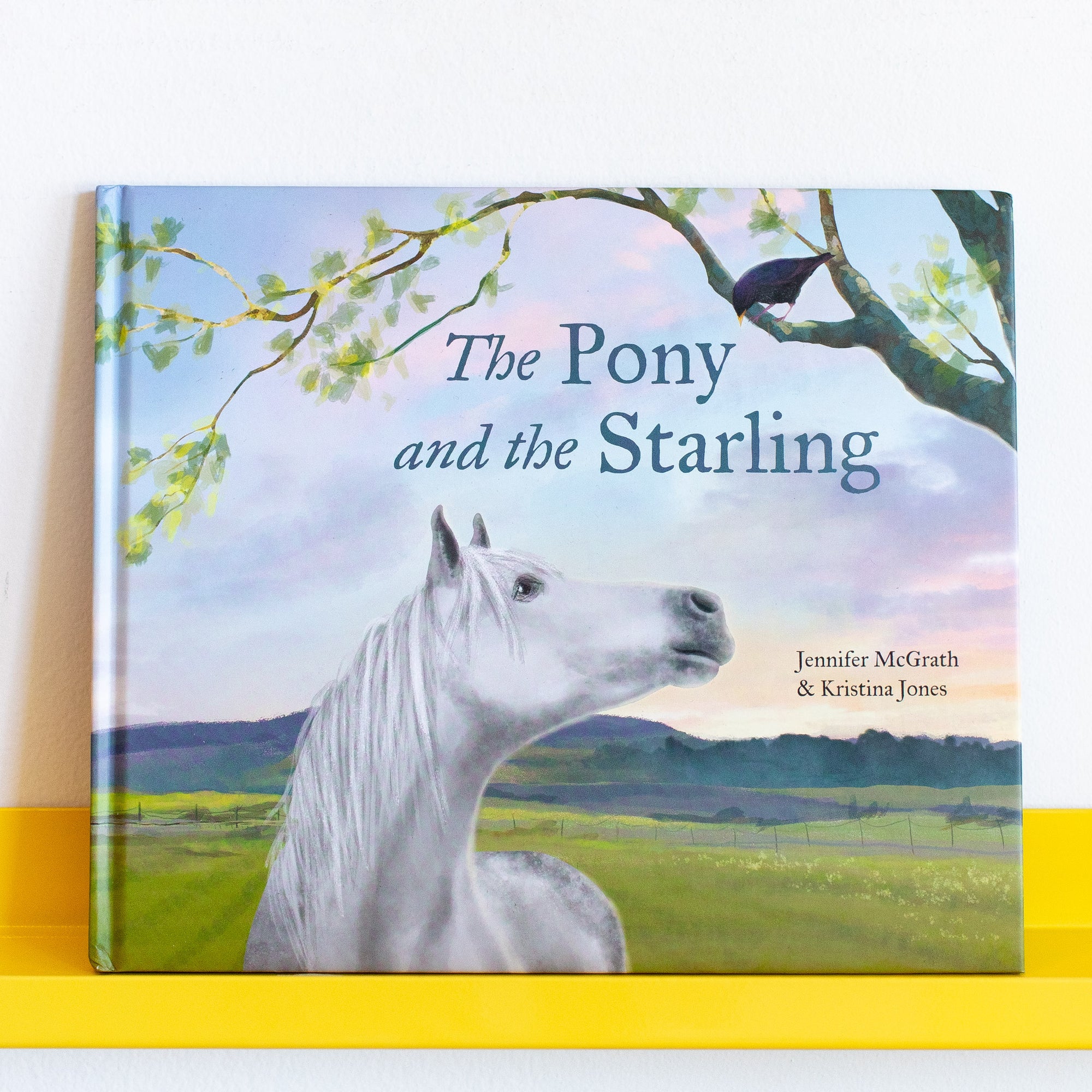 The Pony and the Starling by Jennifer McGrath and Kristina Jones