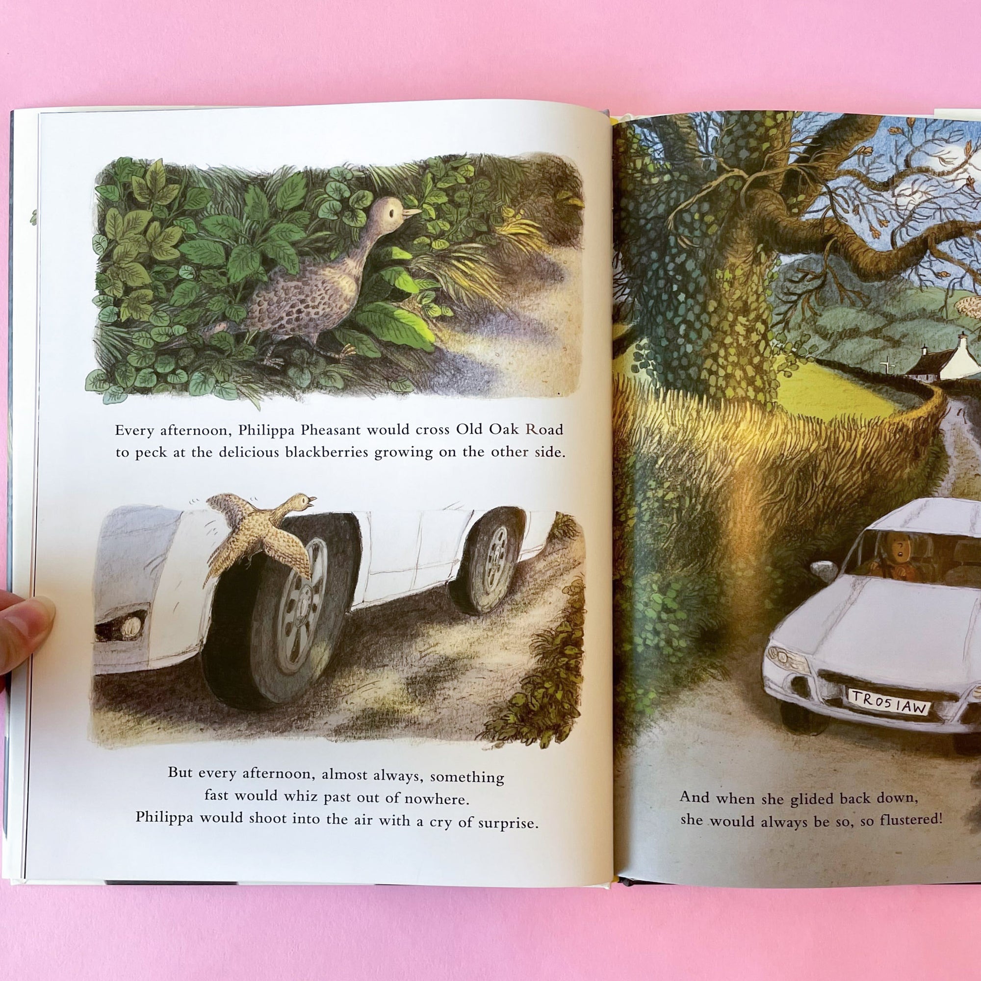 A Practical Present for Philippa Pheasant by Briony May Smith