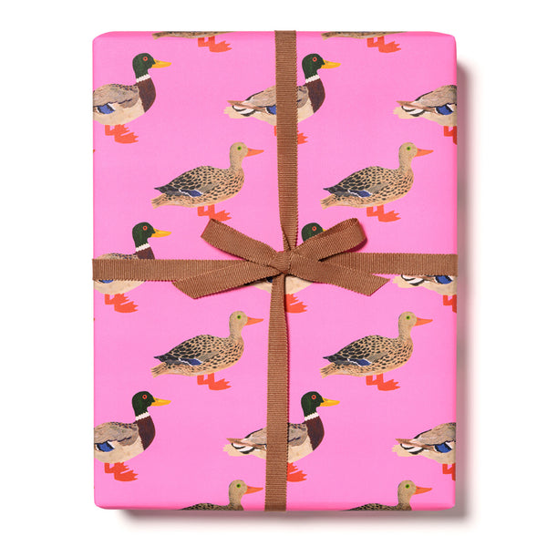 Quacky Birthday Gift Wrap