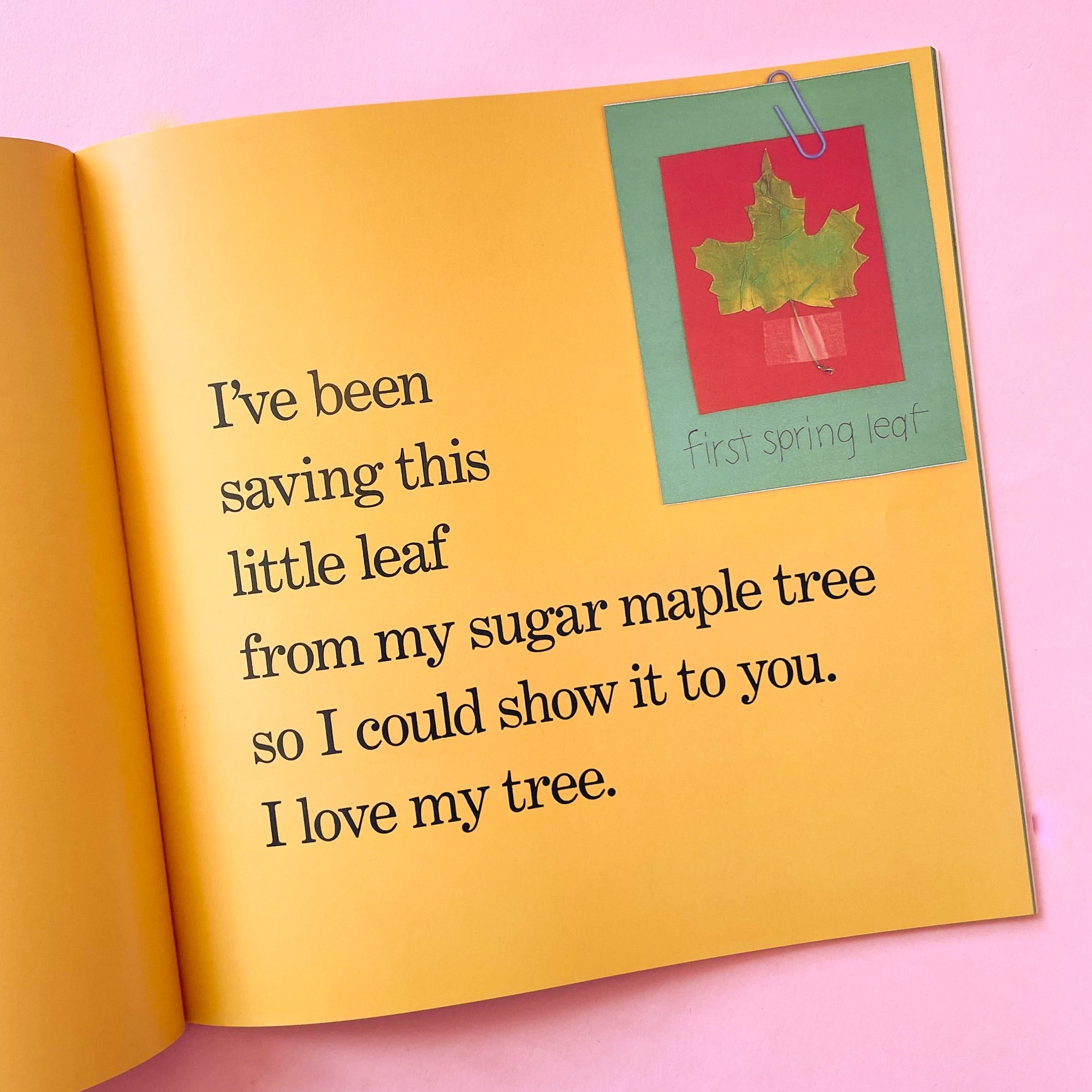 Red Leaf, Yellow Leaf by Lois Ehlert