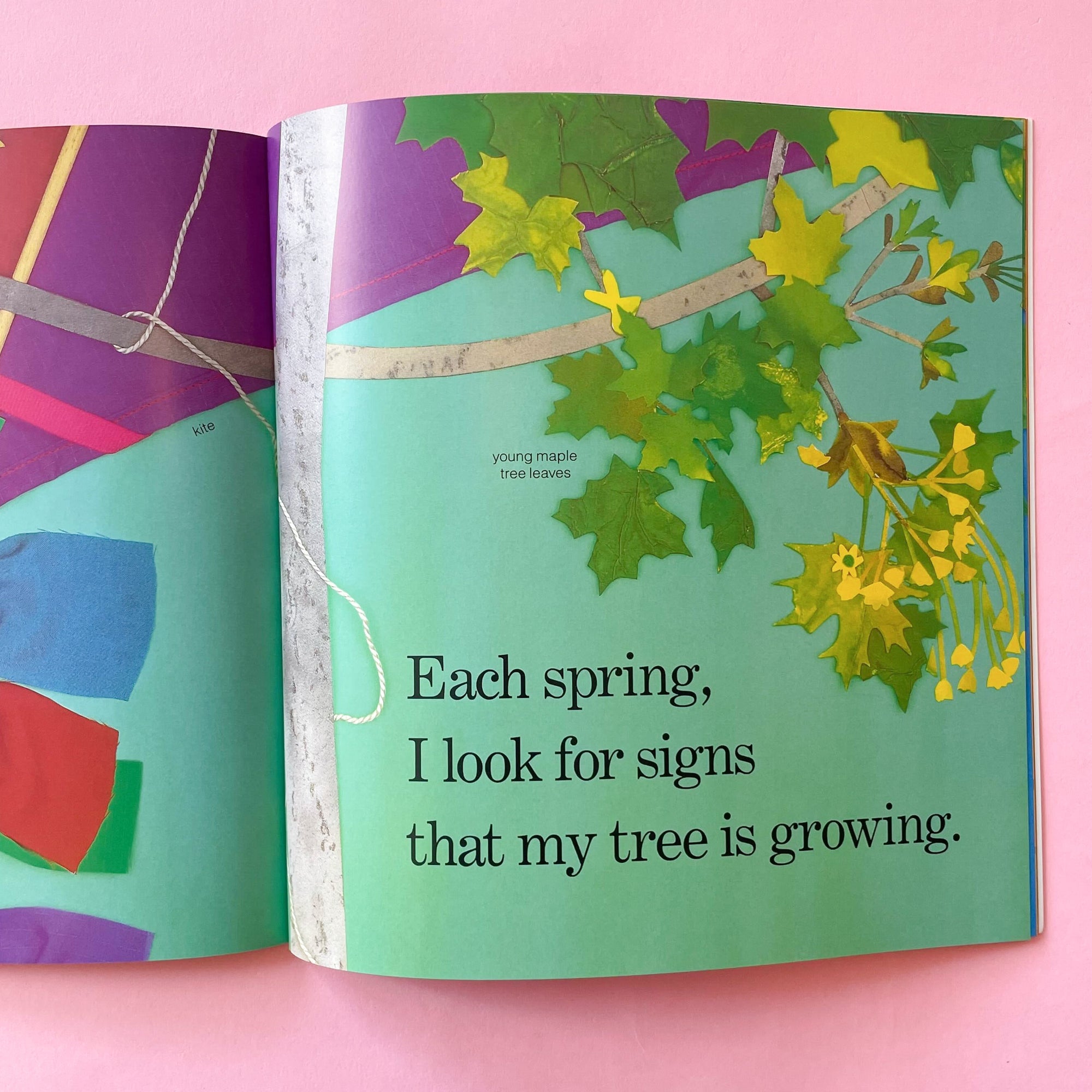 Red Leaf, Yellow Leaf by Lois Ehlert