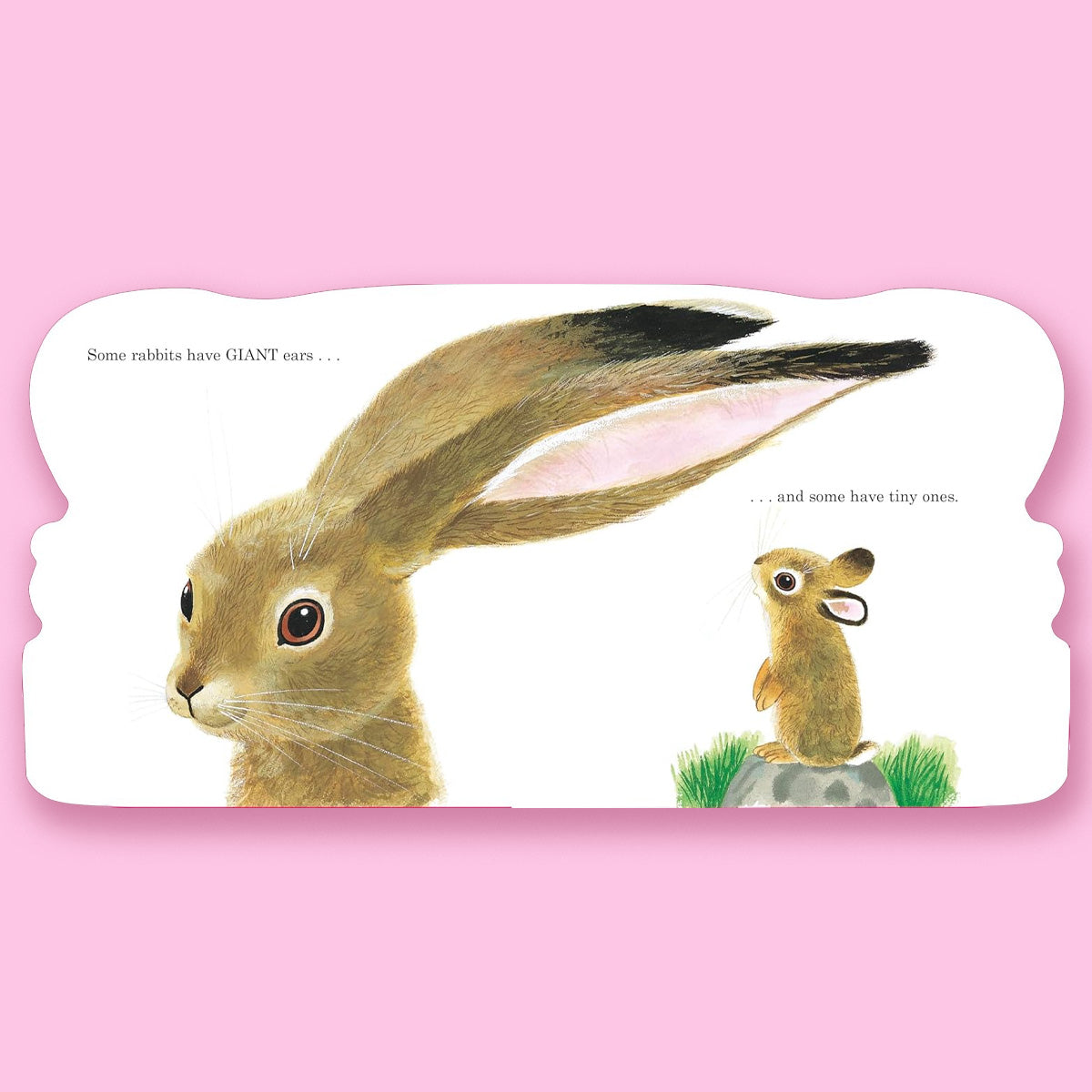 Richard Scarry's Bunnies: A Classic Board Book for Babies and Toddlers by Richard Scarry