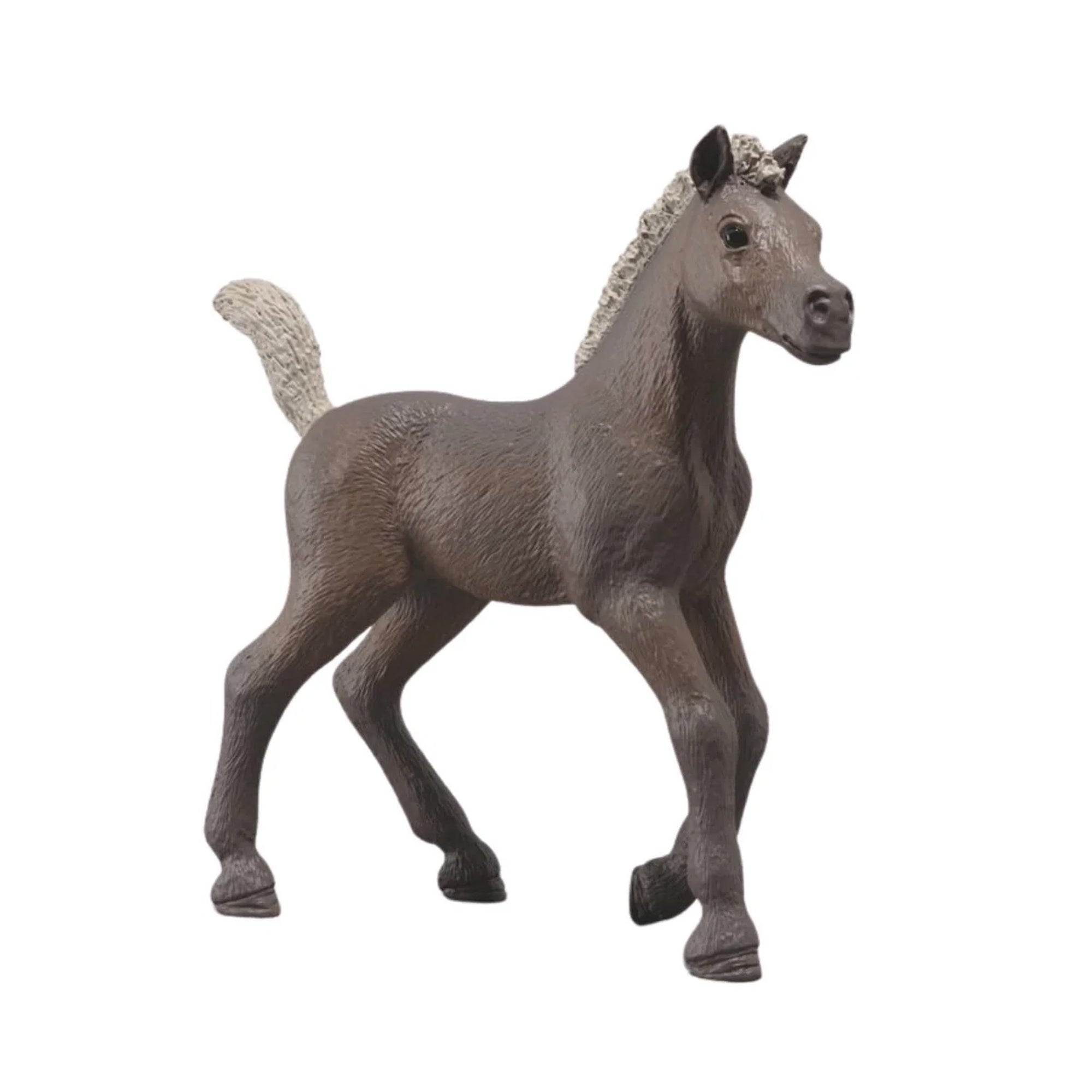 Schleich Collectible Foal Darcy