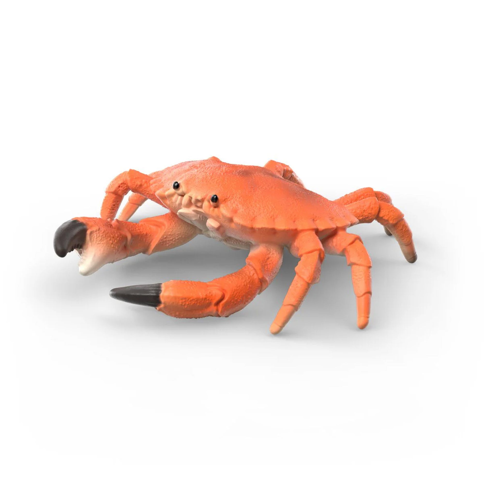 Schleich Sea Animals Discovery Set
