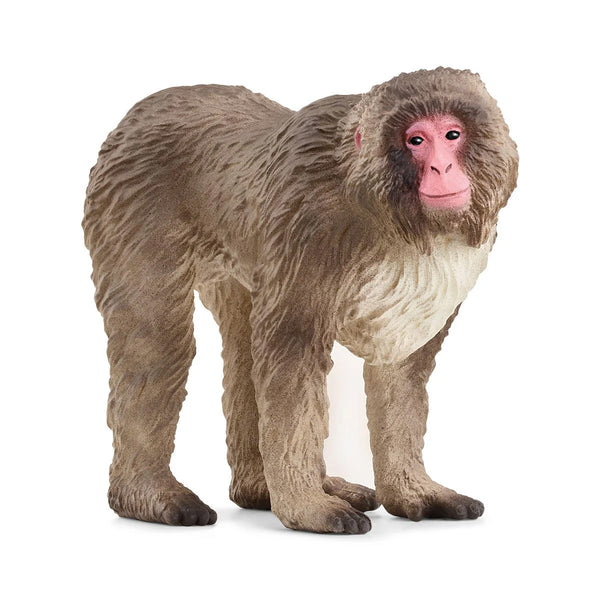 Schleich Wild Japanese Macaque