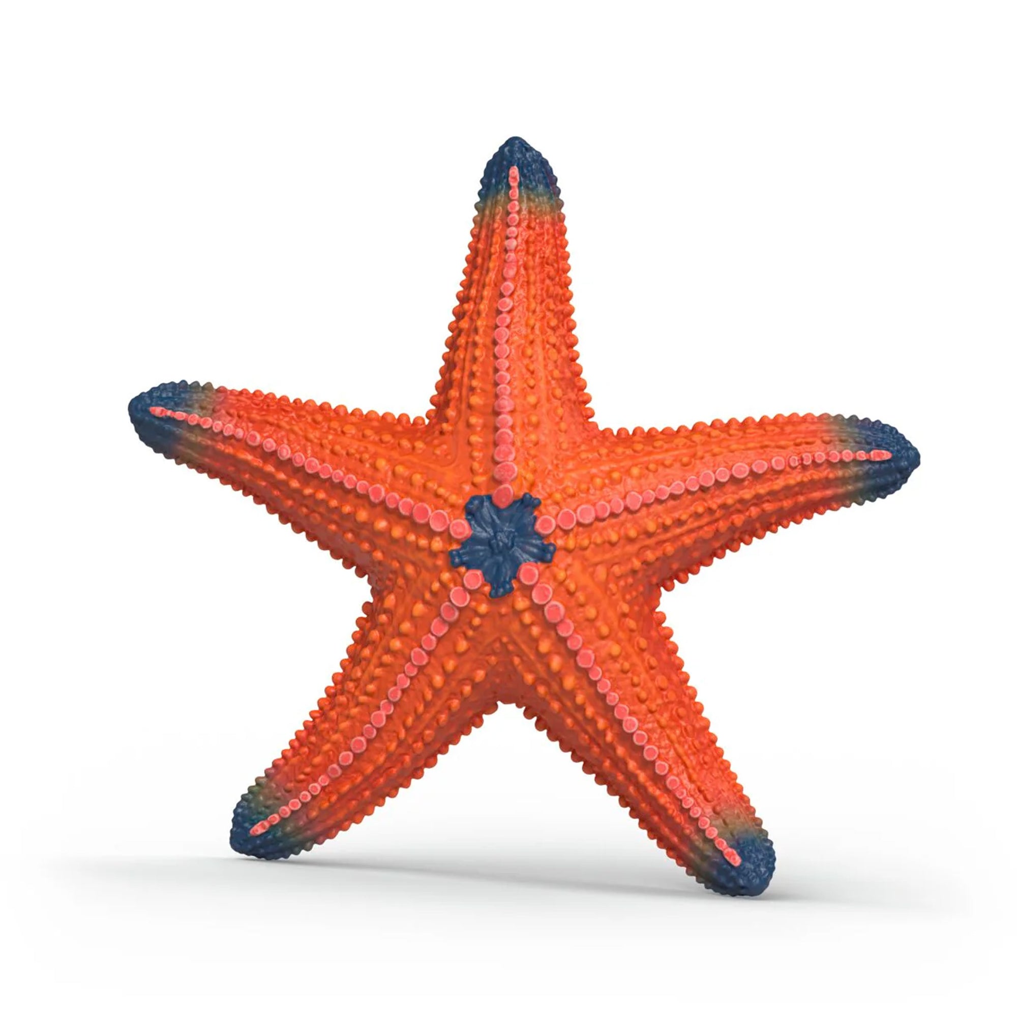 Schleich Wild Life Color Changing Starfish