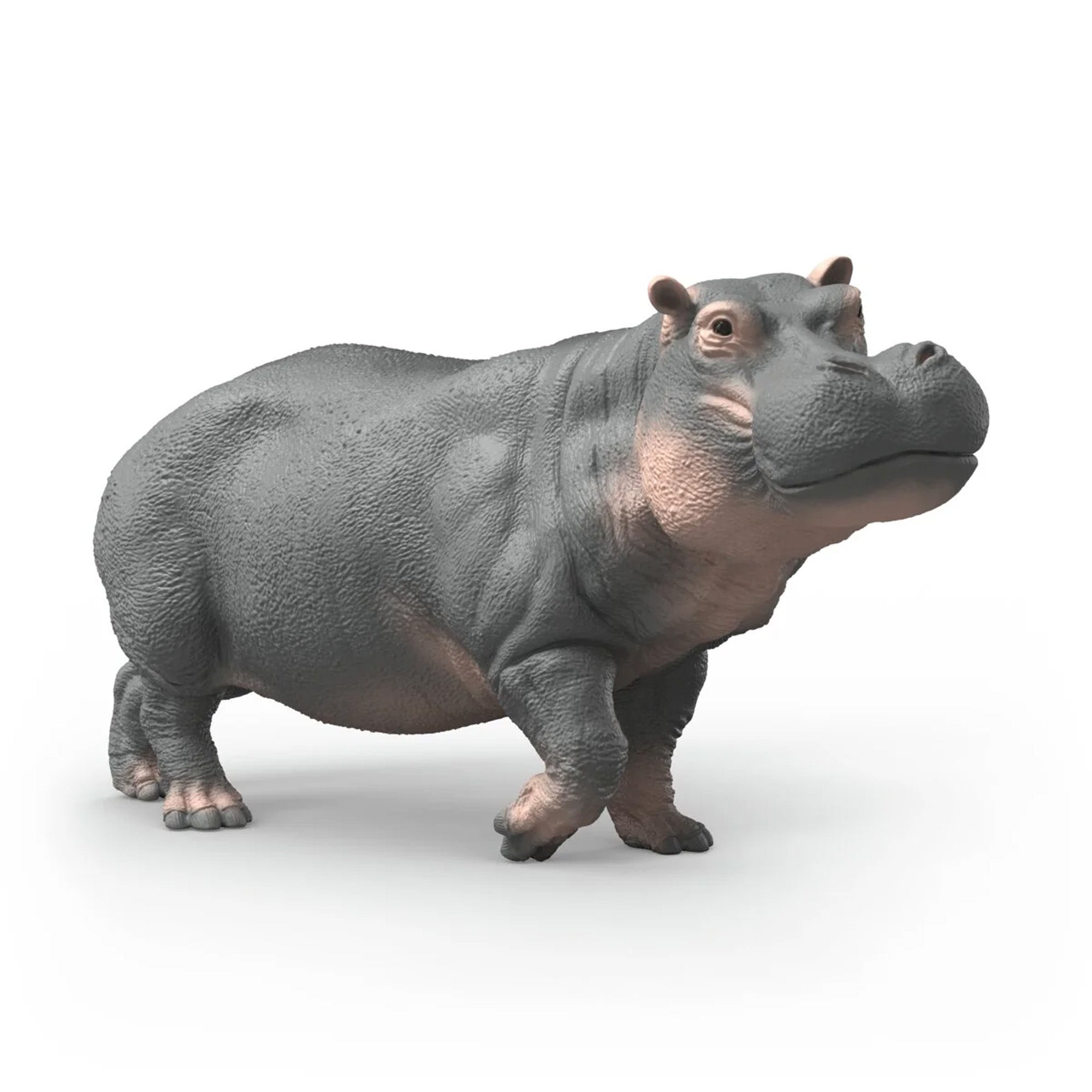 Schleich Wild Life Hippopotamus
