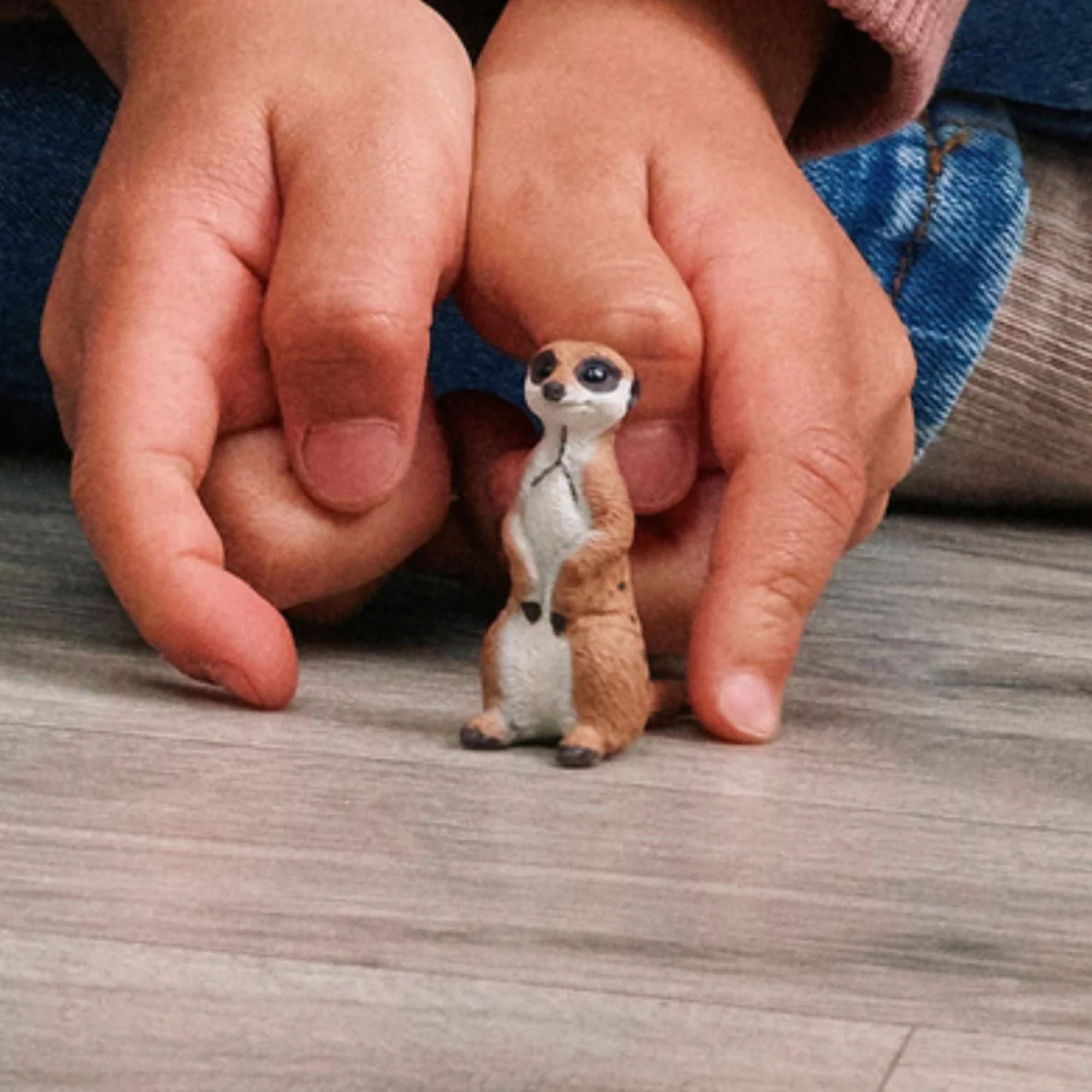 Schleich Wild Life Meerkat