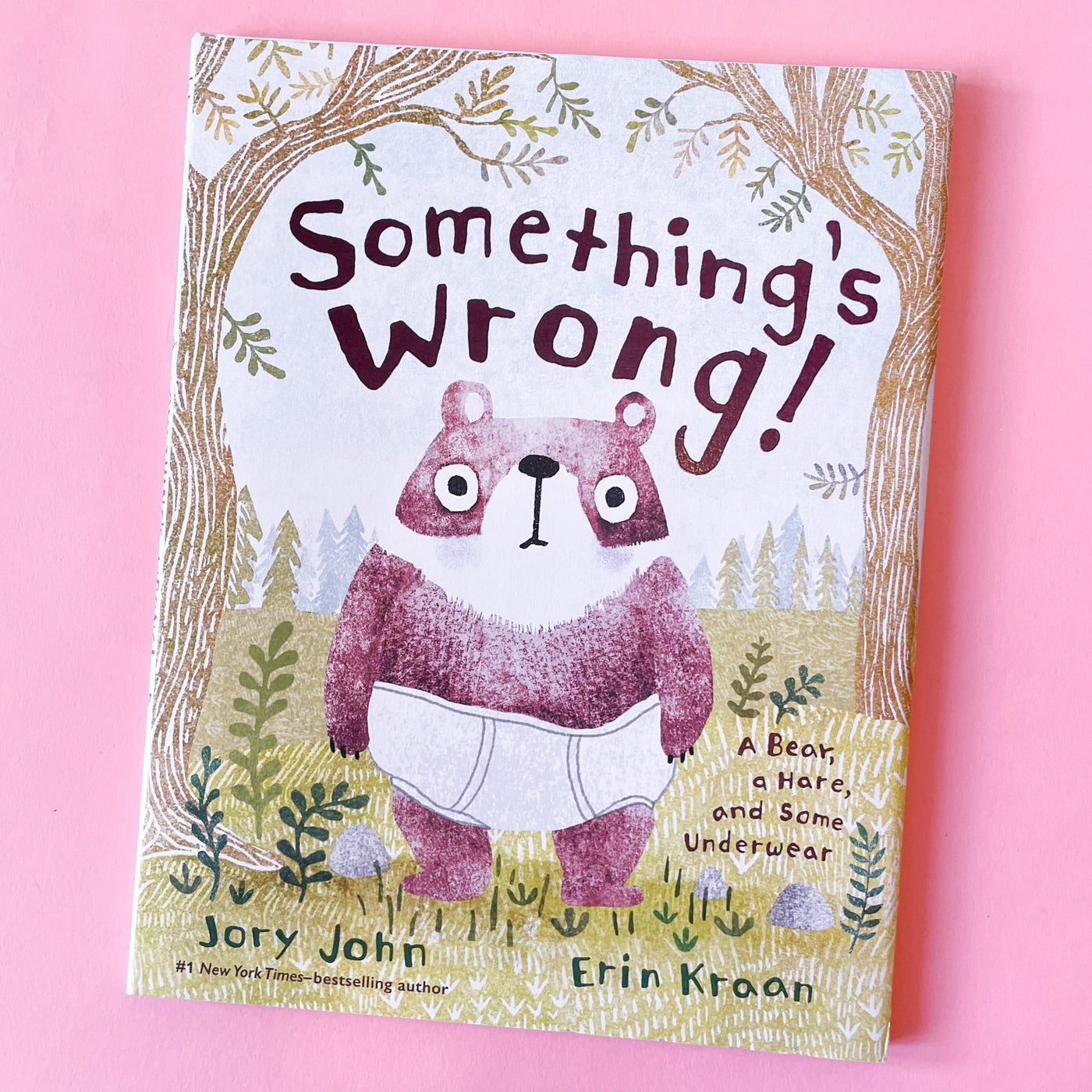 Something's Wrong! A Bear, a Hare, and Some Underwear by Jory John and Erin Kraan