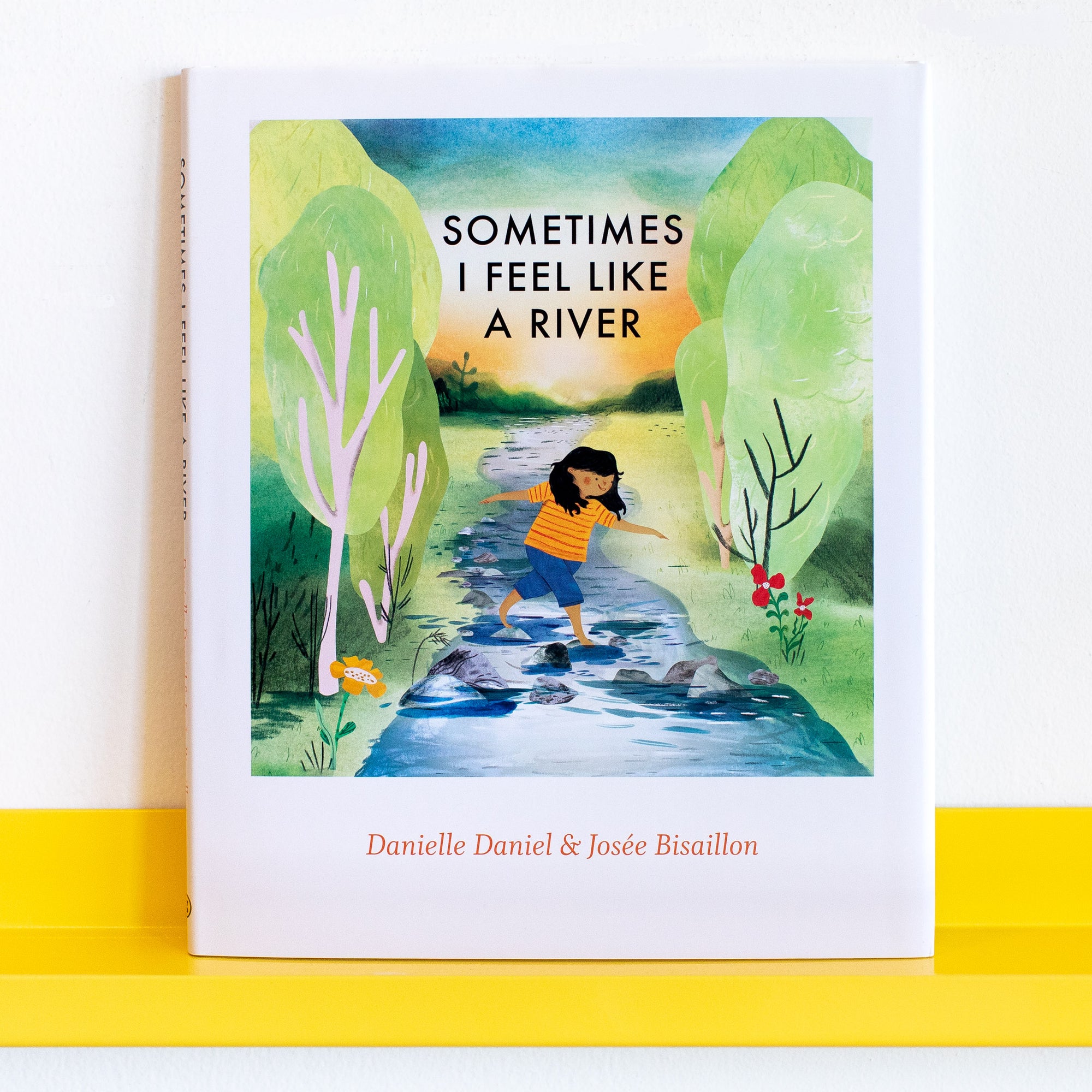 Sometimes I Feel Like a River by Danielle Daniel and Josée Bisaillon