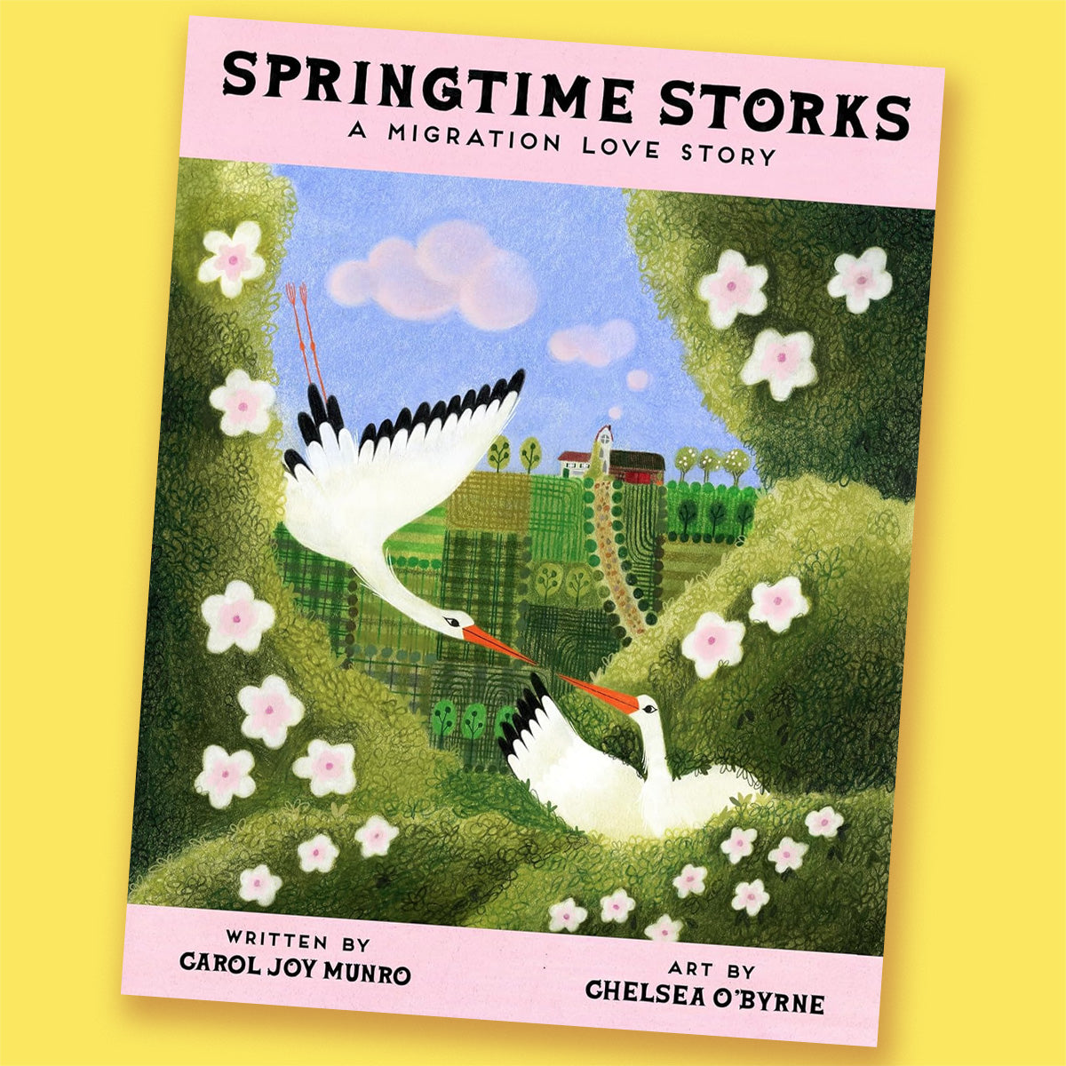 Springtime Storks: A Migration Love Story by Carol Joy Munro and Chelsea O'Byrne