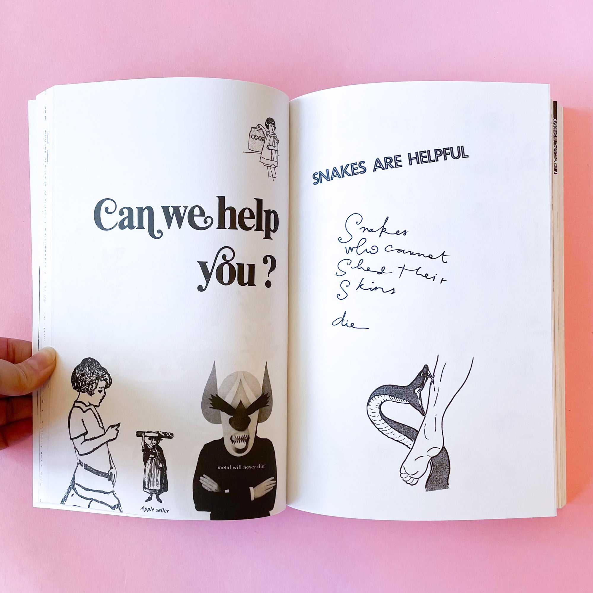 Swan Song by Sonja Ahlers