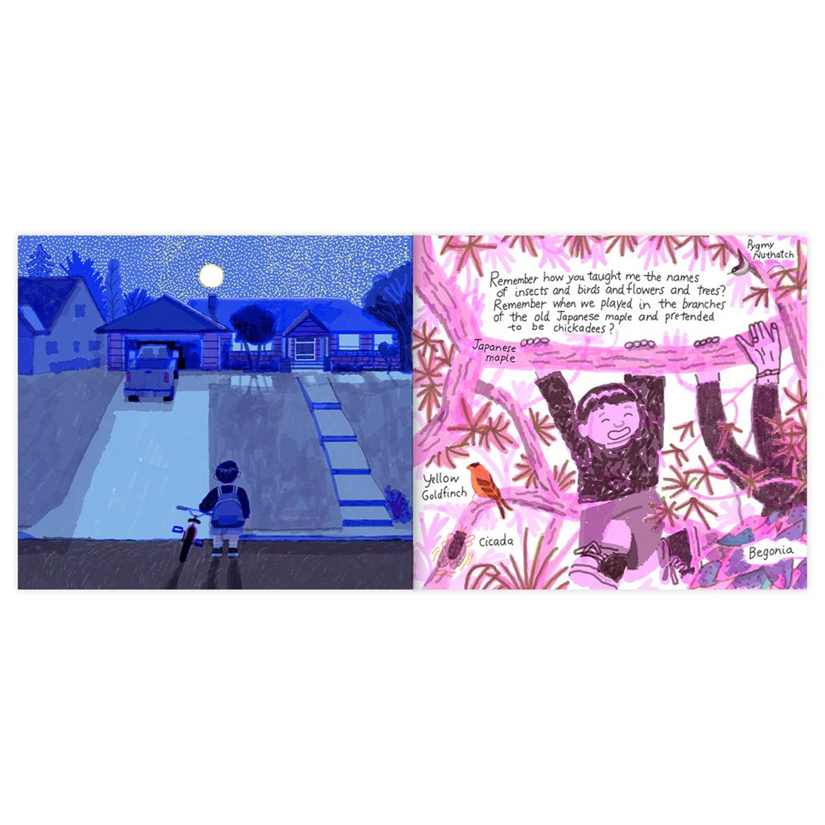 Sylvester&#39;s Letter by Matthew Burgess and Josh Cochran