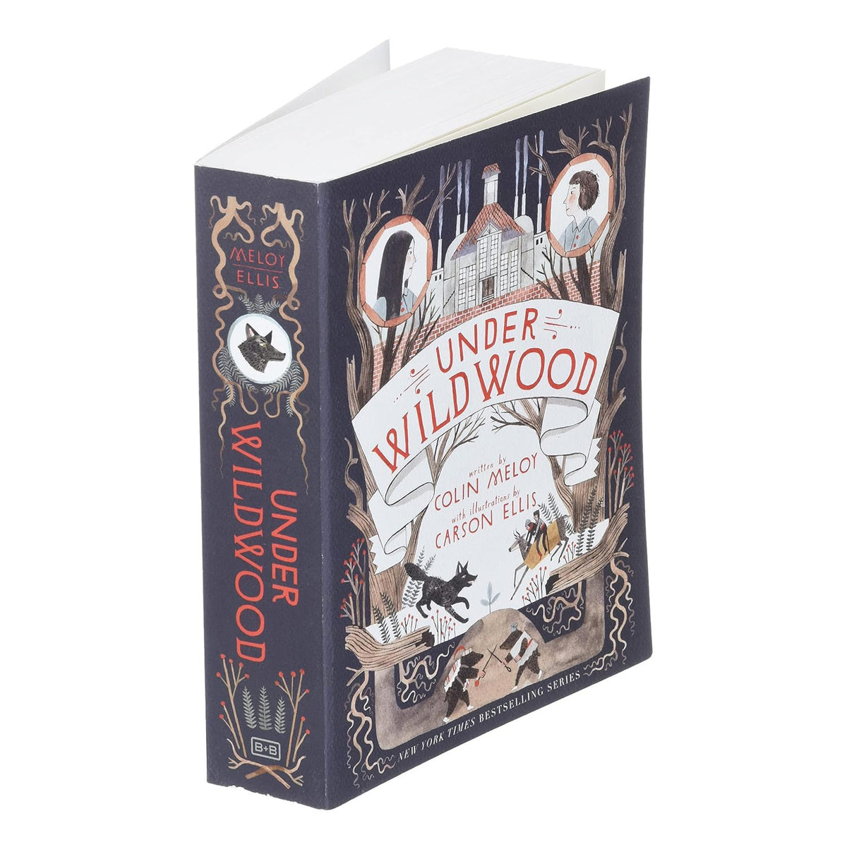 Under Wildwood: An Epic Illustrated Fantasy Adventure about Friendship, Unity, and a Quest Through Magic by Colin Meloy and Carson Ellis
