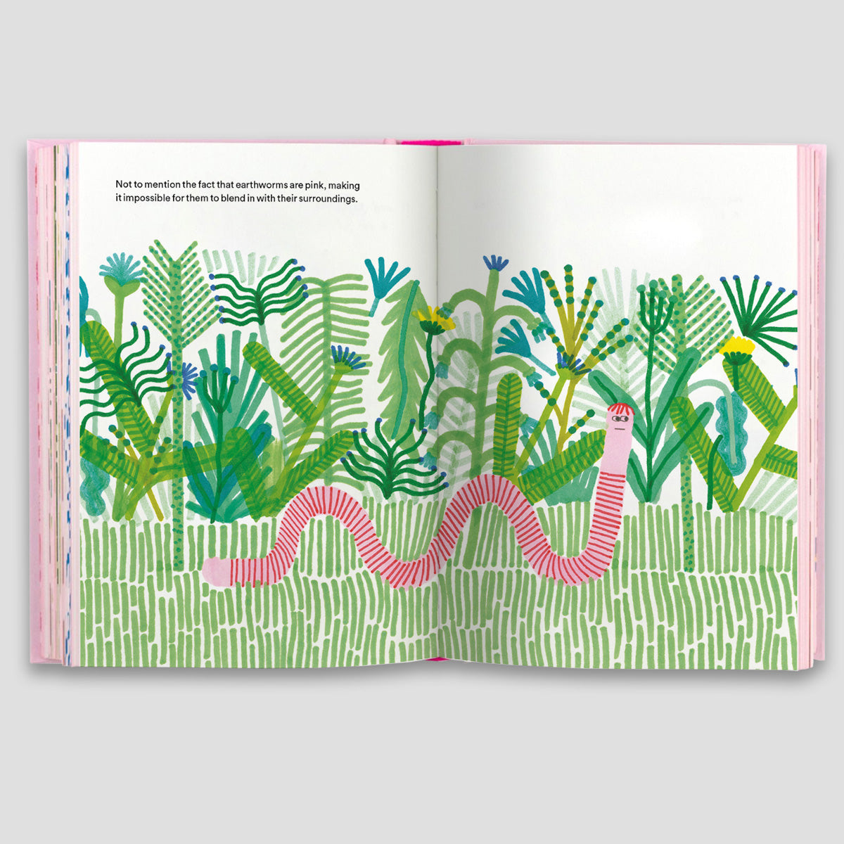 The Unfortunate Life of Worms by Noemi Vola