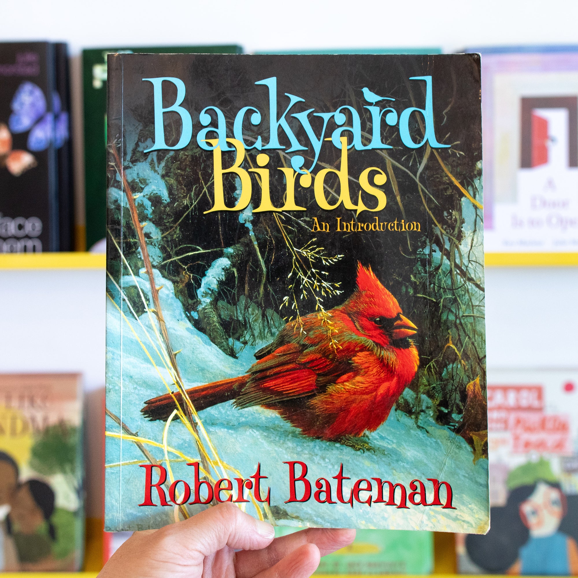 USED BOOK: Backyard Birds: An Introduction by Robert Bateman
